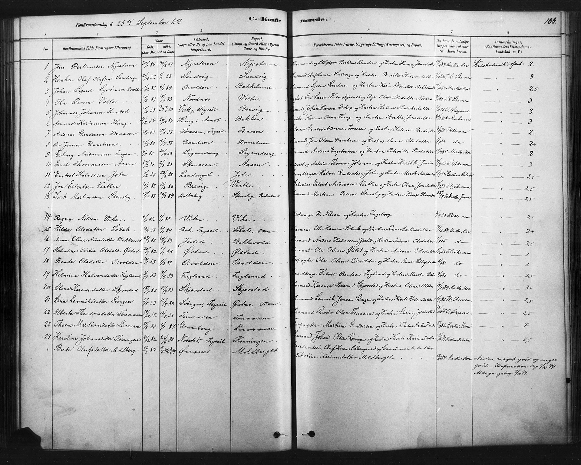 Åmot prestekontor, Hedmark, AV/SAH-PREST-056/H/Ha/Haa/L0012: Parish register (official) no. 12, 1878-1901, p. 134
