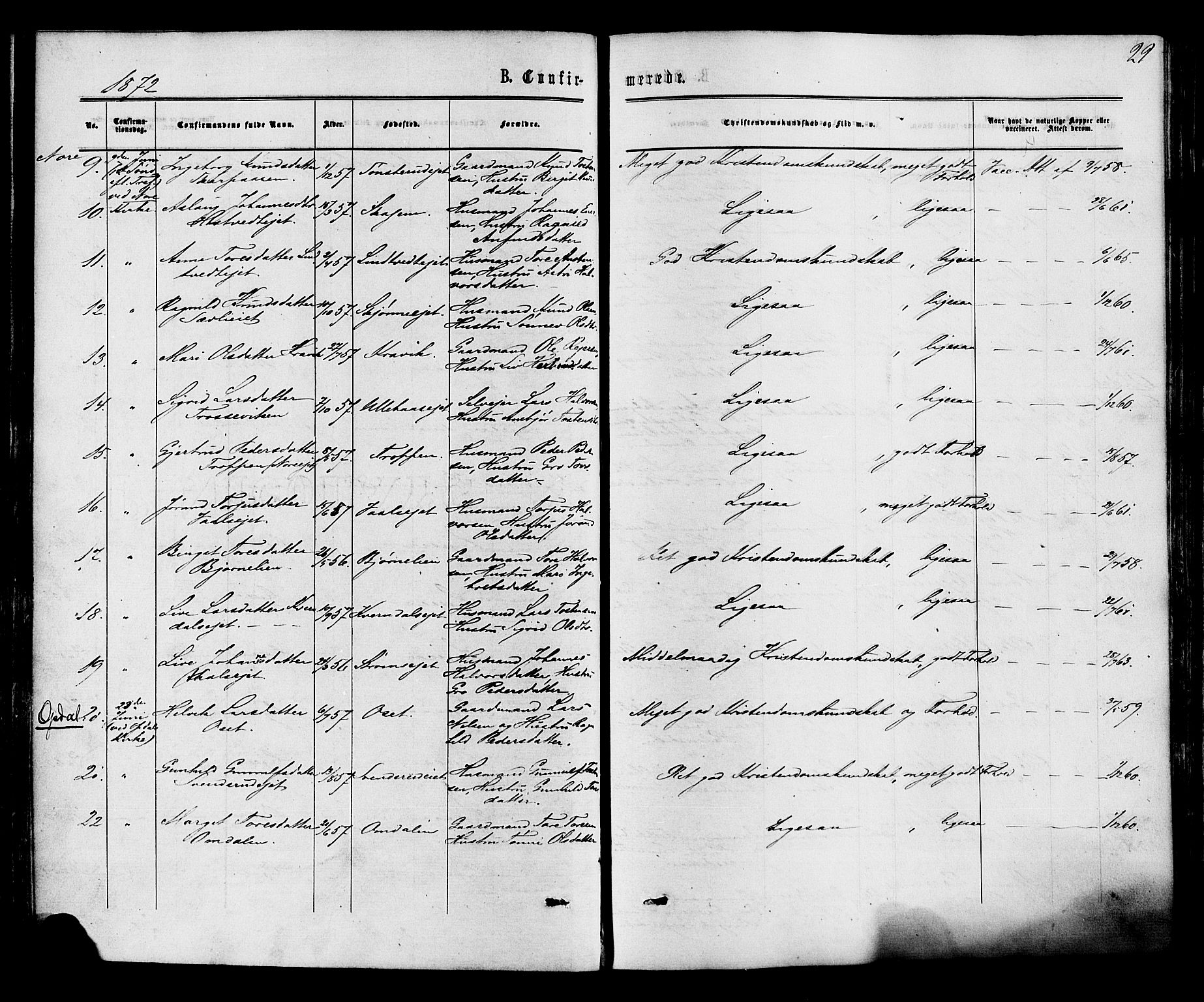 Nore kirkebøker, AV/SAKO-A-238/F/Fa/L0004: Parish register (official) no. I 4, 1867-1877, p. 29