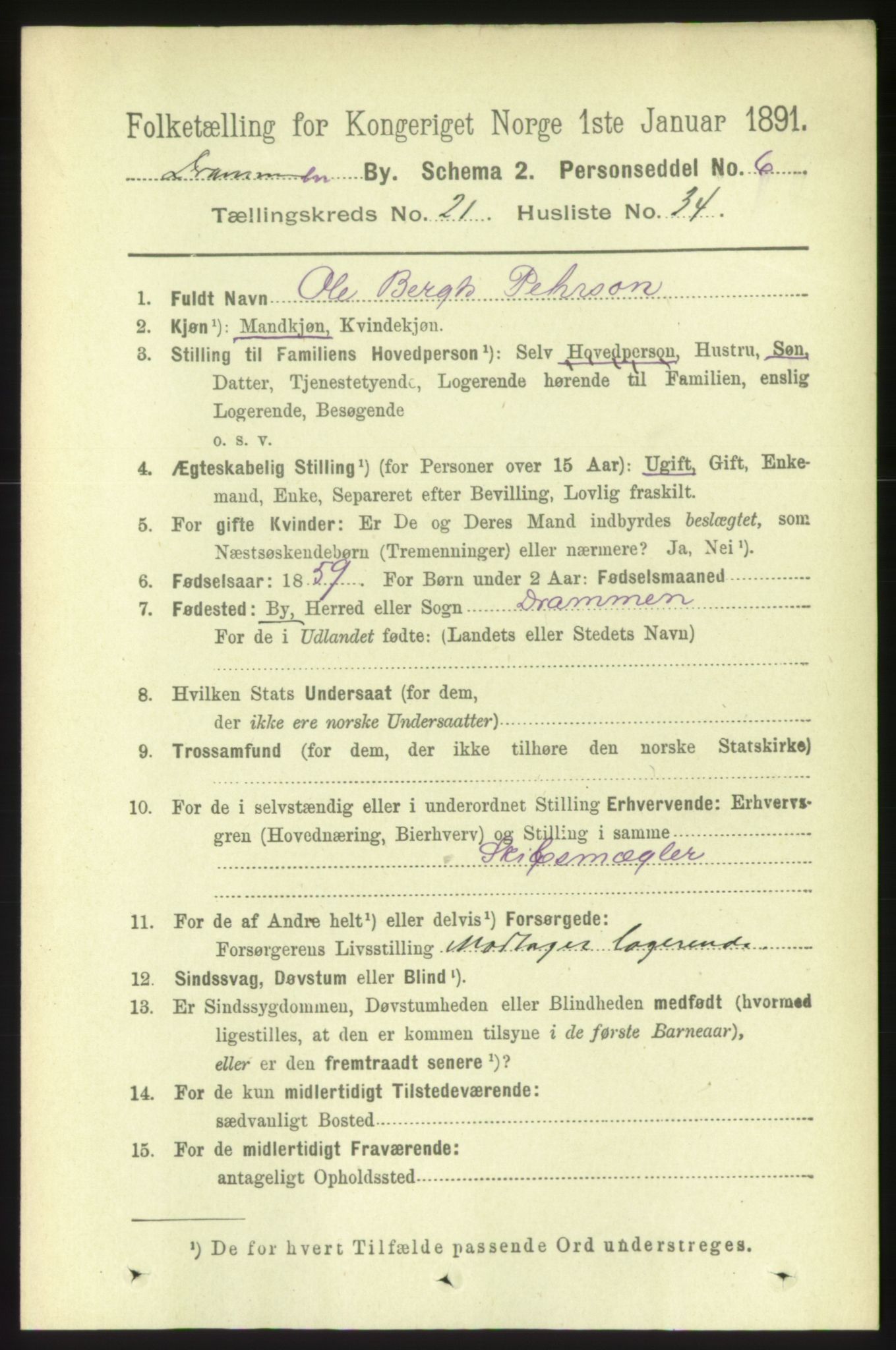 RA, 1891 census for 0602 Drammen, 1891, p. 13456