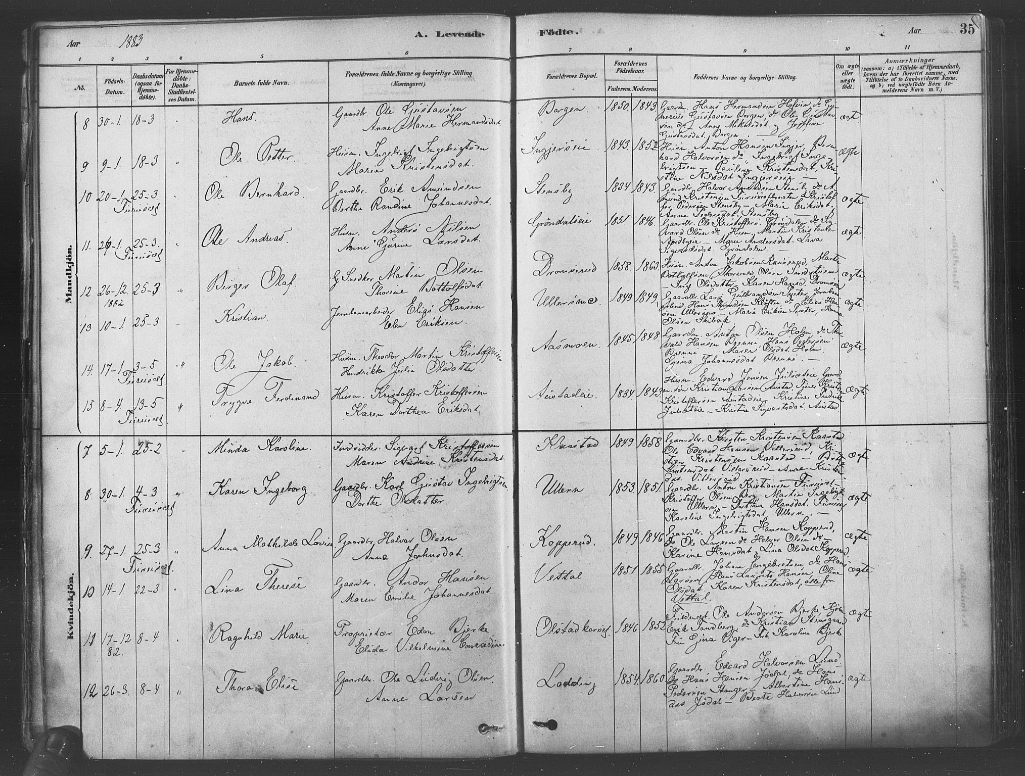 Ullensaker prestekontor Kirkebøker, AV/SAO-A-10236a/F/Fa/L0019: Parish register (official) no. I 19, 1878-1891, p. 35