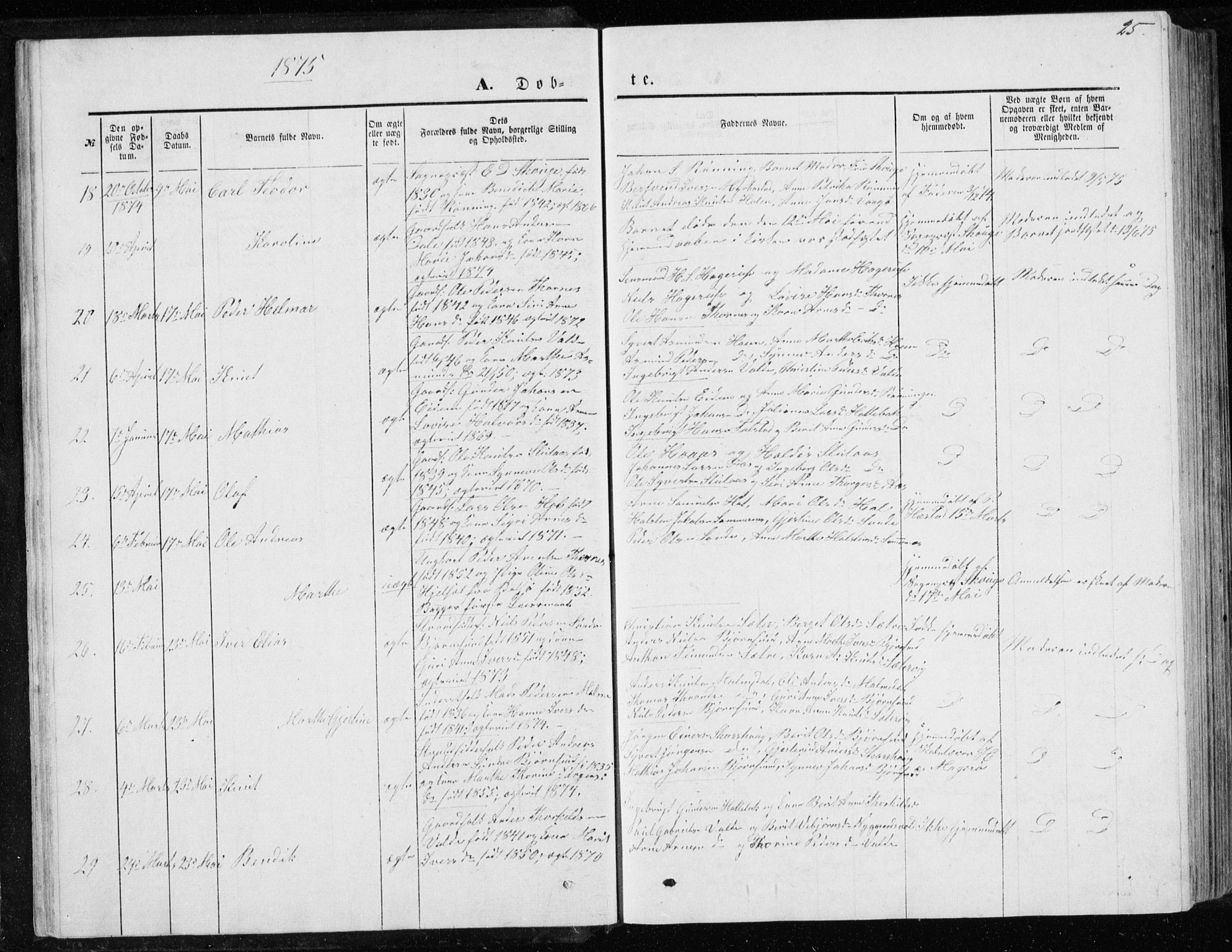 Ministerialprotokoller, klokkerbøker og fødselsregistre - Møre og Romsdal, AV/SAT-A-1454/565/L0754: Parish register (copy) no. 565C03, 1870-1896, p. 25