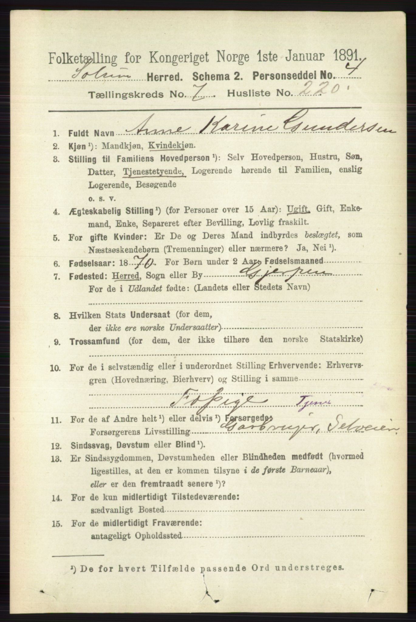RA, 1891 census for 0818 Solum, 1891, p. 4012