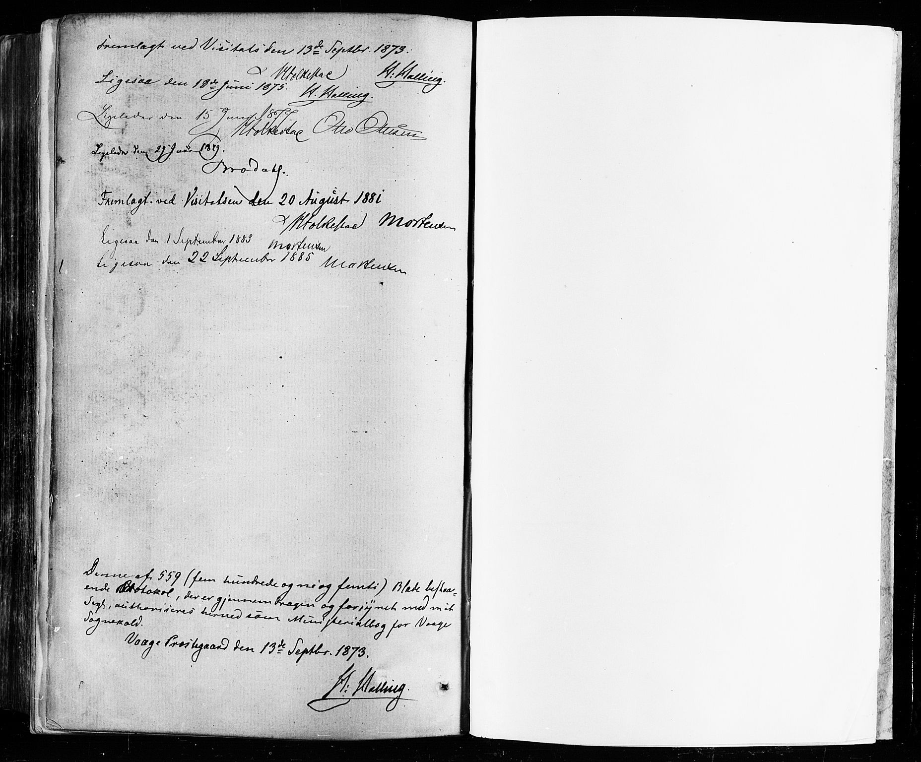 Vågå prestekontor, AV/SAH-PREST-076/H/Ha/Haa/L0007: Parish register (official) no. 7 /1, 1872-1886