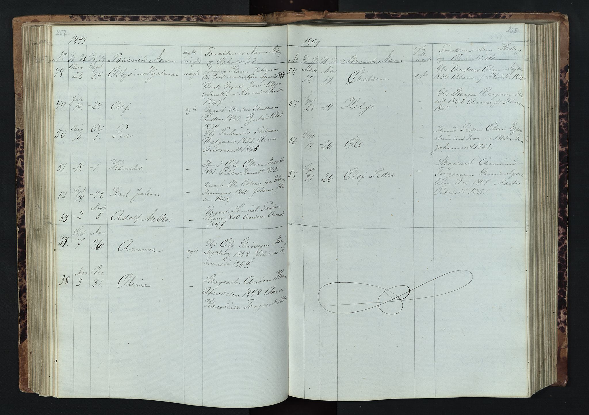 Stor-Elvdal prestekontor, AV/SAH-PREST-052/H/Ha/Hab/L0001: Parish register (copy) no. 1 /1, 1860-1894, p. 257-258