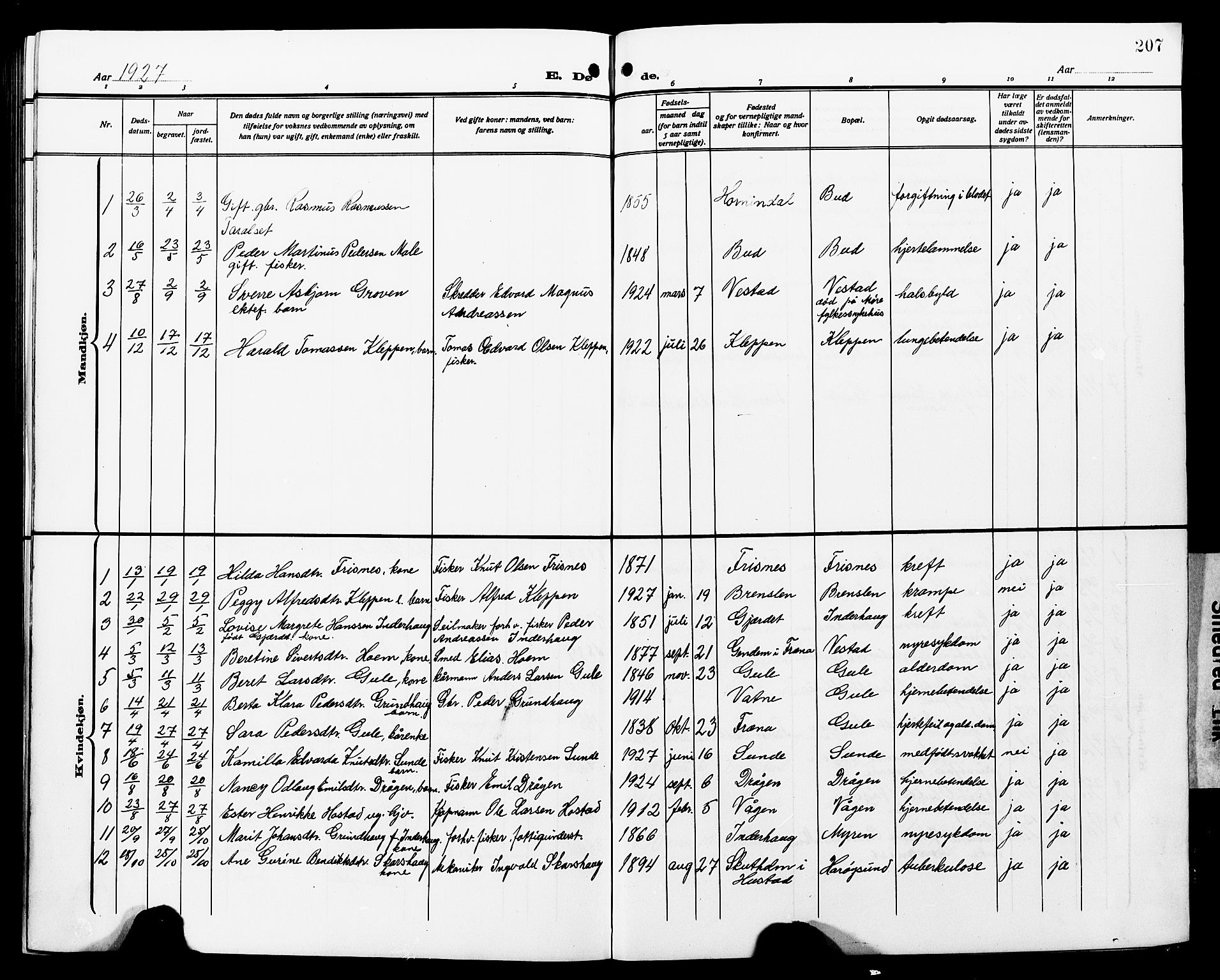 Ministerialprotokoller, klokkerbøker og fødselsregistre - Møre og Romsdal, AV/SAT-A-1454/566/L0774: Parish register (copy) no. 566C03, 1910-1929, p. 207