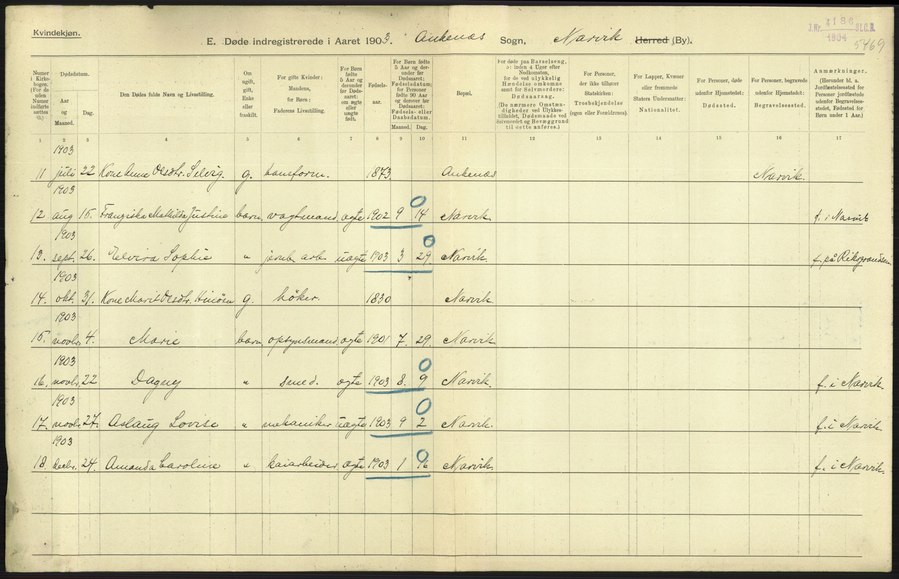 Statistisk sentralbyrå, Sosiodemografiske emner, Befolkning, AV/RA-S-2228/D/Df/Dfa/Dfaa/L0019: Nordlands amt: Fødte, gifte, døde., 1903, p. 541