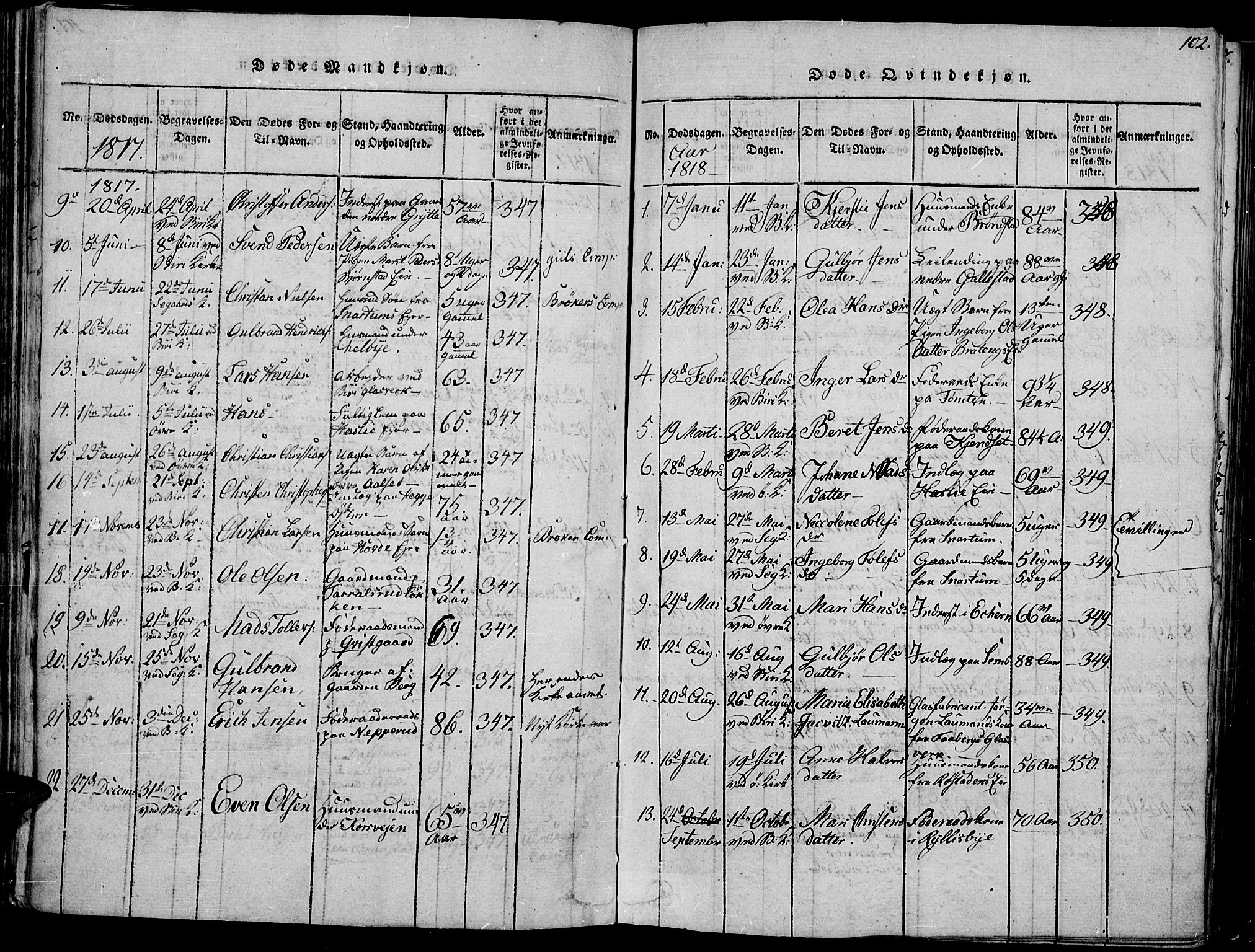 Biri prestekontor, SAH/PREST-096/H/Ha/Haa/L0003: Parish register (official) no. 3, 1814-1828, p. 102