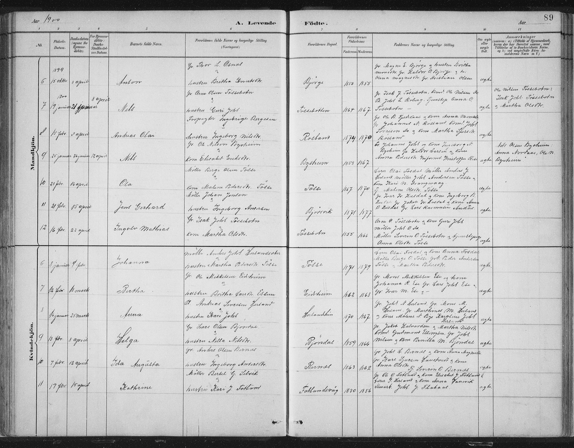 Hosanger sokneprestembete, SAB/A-75801/H/Hab: Parish register (copy) no. A 3 I, 1882-1903, p. 89