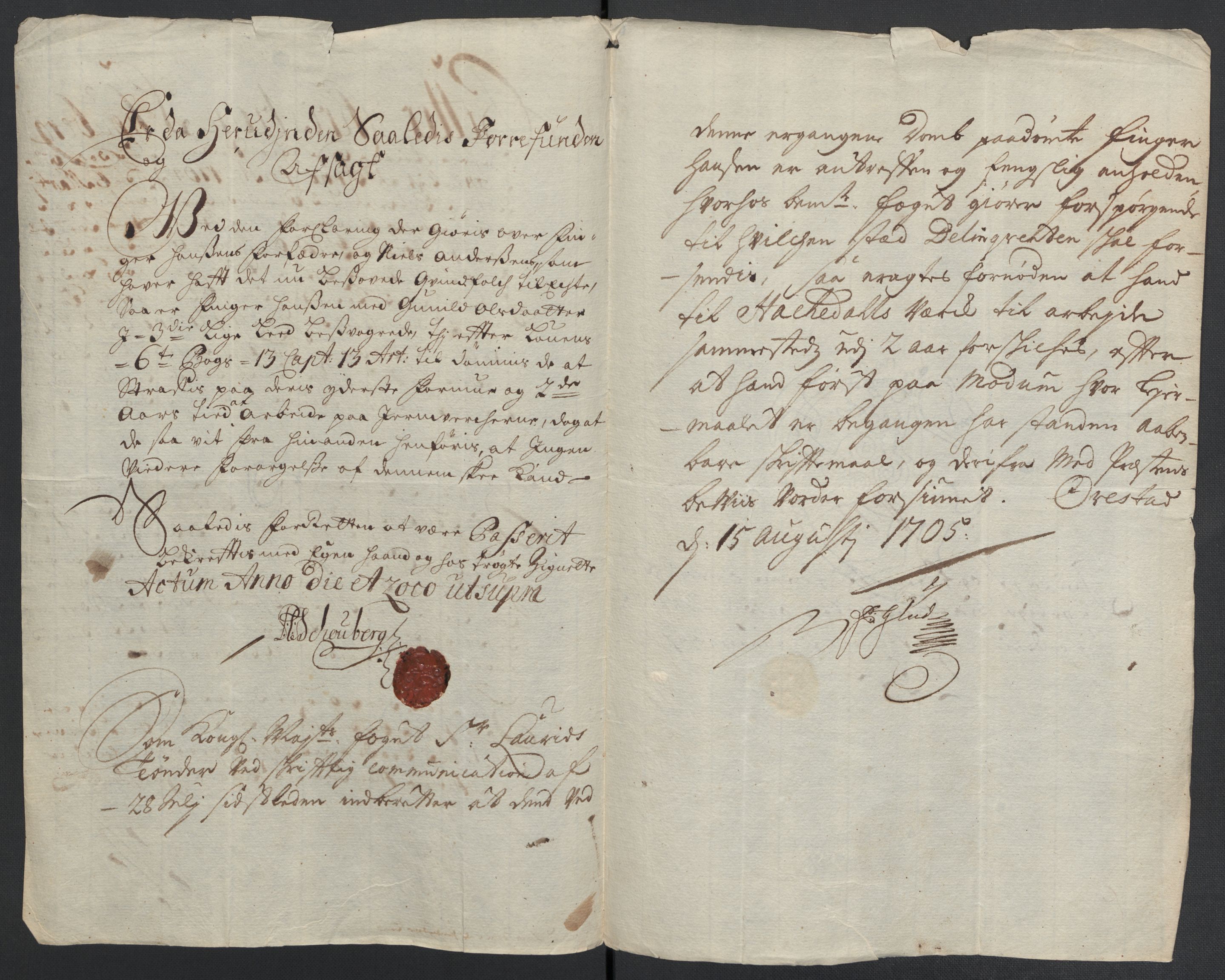 Rentekammeret inntil 1814, Reviderte regnskaper, Fogderegnskap, AV/RA-EA-4092/R22/L1464: Fogderegnskap Ringerike, Hallingdal og Buskerud, 1705, p. 256