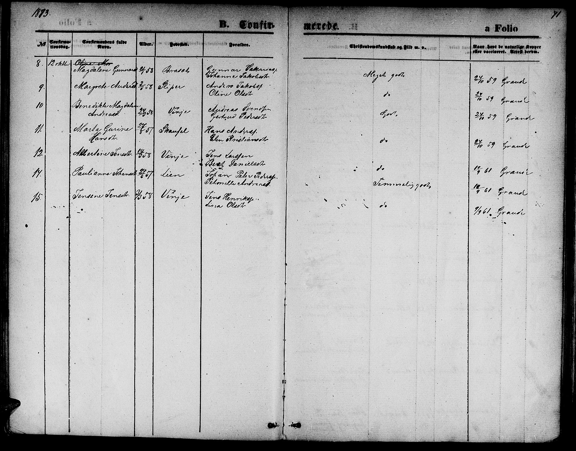 Ministerialprotokoller, klokkerbøker og fødselsregistre - Nord-Trøndelag, AV/SAT-A-1458/733/L0326: Parish register (copy) no. 733C01, 1871-1887, p. 71