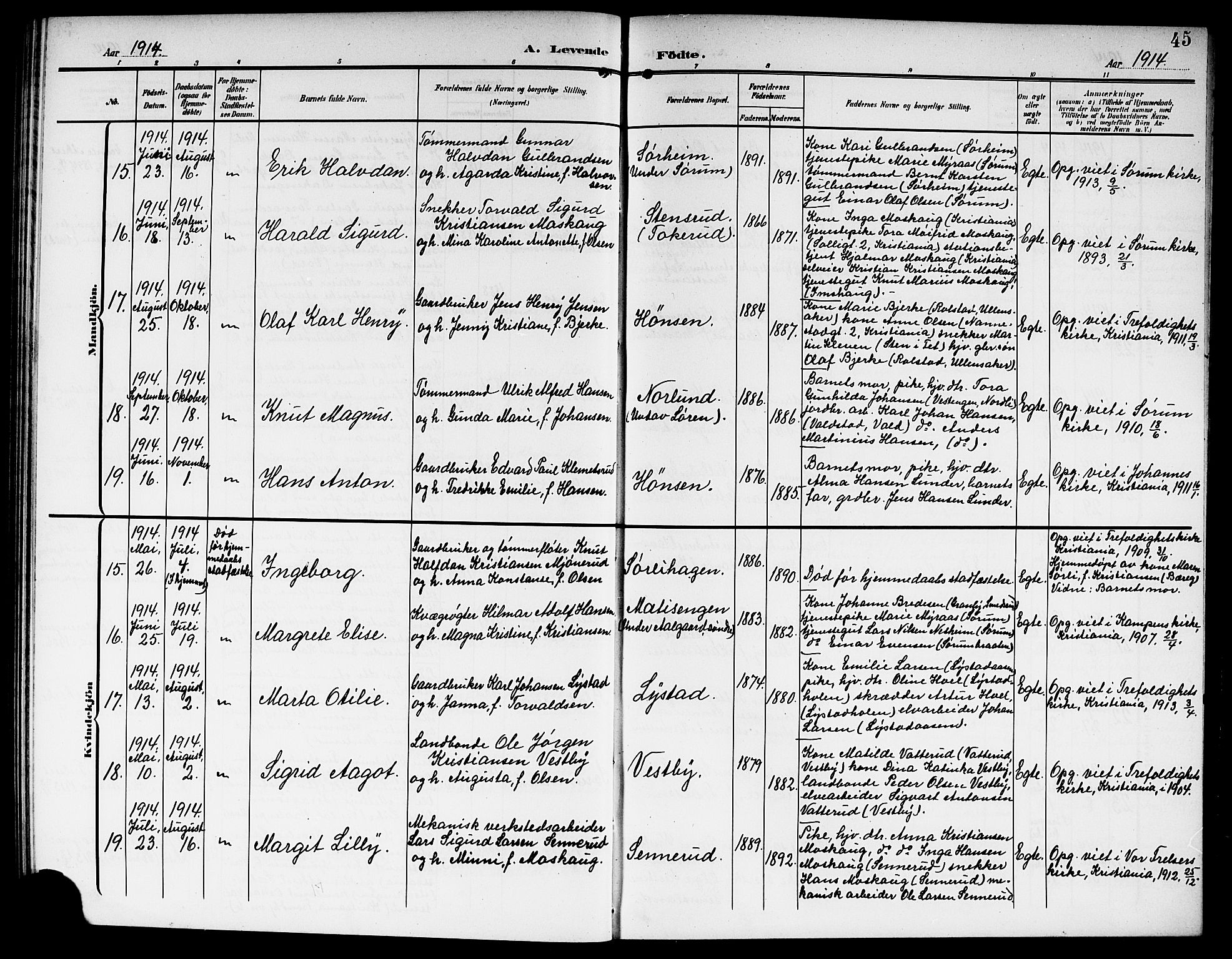 Sørum prestekontor Kirkebøker, SAO/A-10303/G/Ga/L0007: Parish register (copy) no. I 7, 1907-1917, p. 45