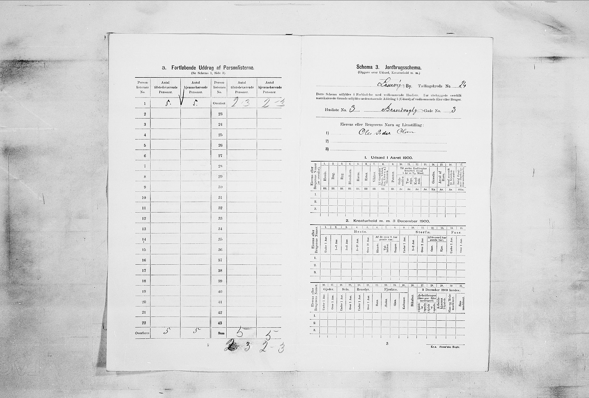 RA, 1900 census for Larvik, 1900, p. 2509