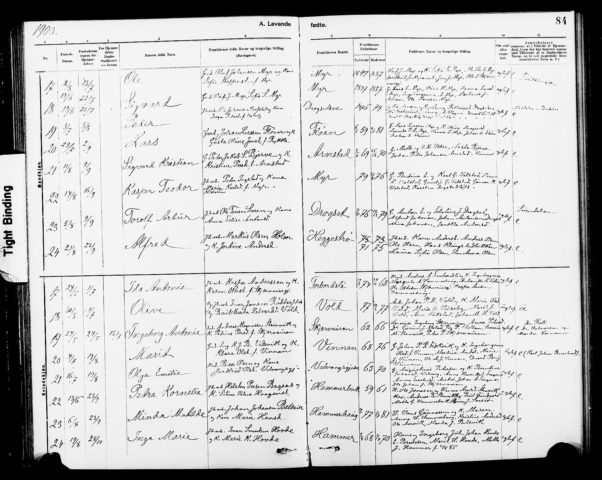 Ministerialprotokoller, klokkerbøker og fødselsregistre - Nord-Trøndelag, AV/SAT-A-1458/712/L0103: Parish register (copy) no. 712C01, 1878-1917, p. 84