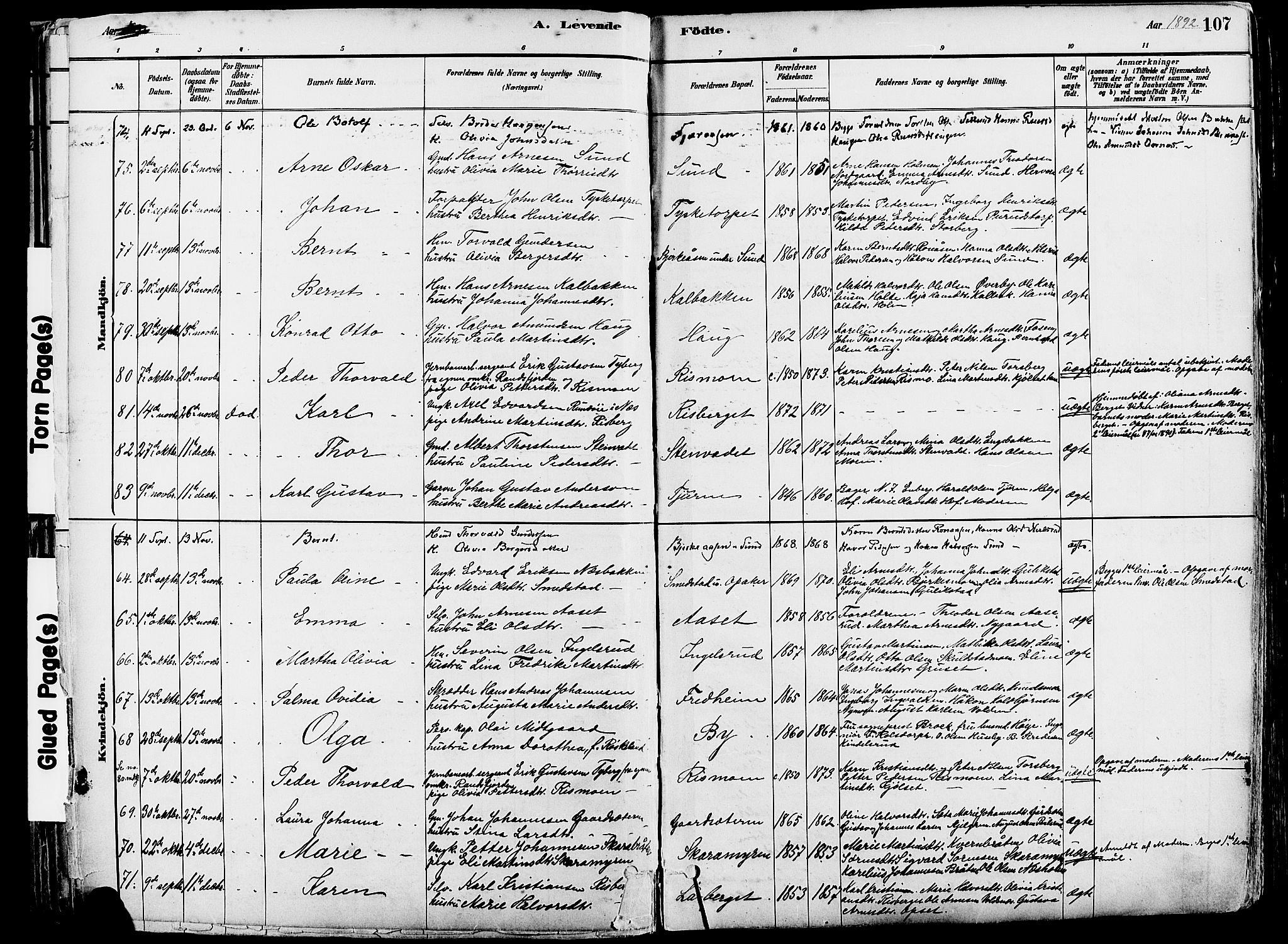 Grue prestekontor, SAH/PREST-036/H/Ha/Haa/L0012: Parish register (official) no. 12, 1881-1897, p. 107