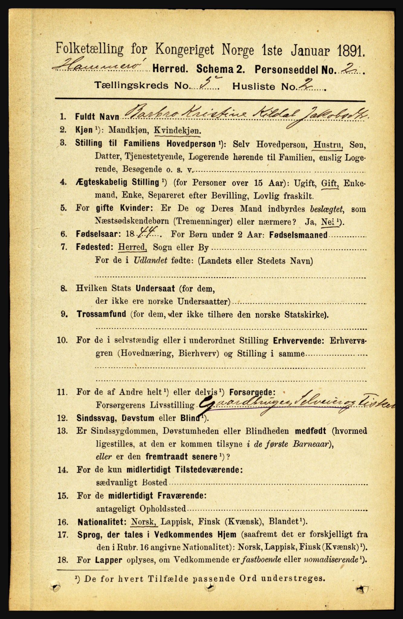 RA, 1891 census for 1849 Hamarøy, 1891, p. 2491