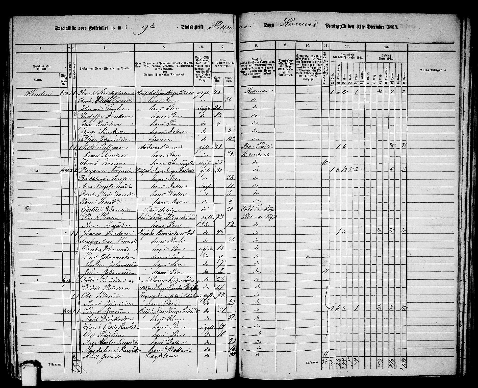 RA, 1865 census for Kvernes, 1865, p. 174