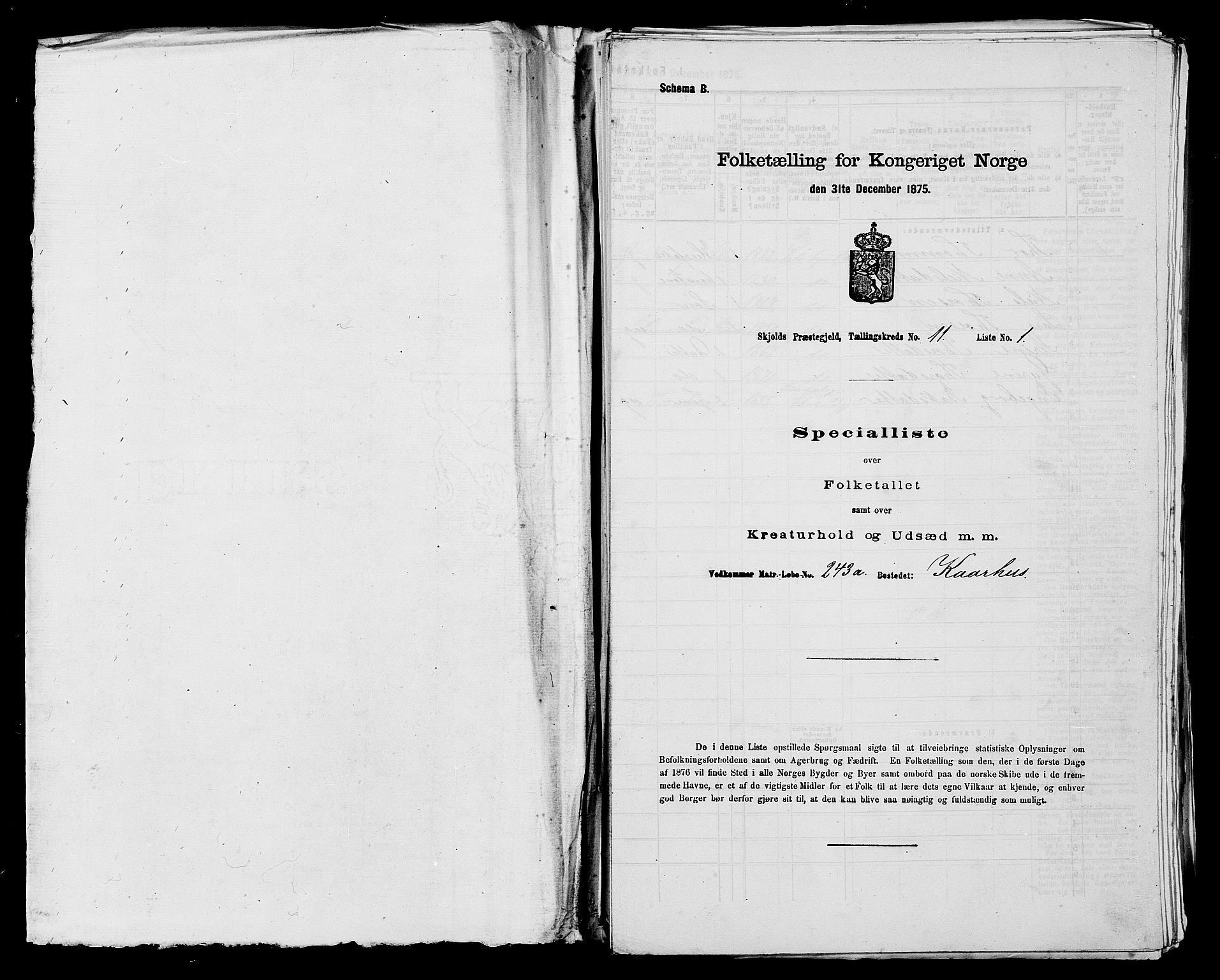 SAST, 1875 census for 1154P Skjold, 1875, p. 1104