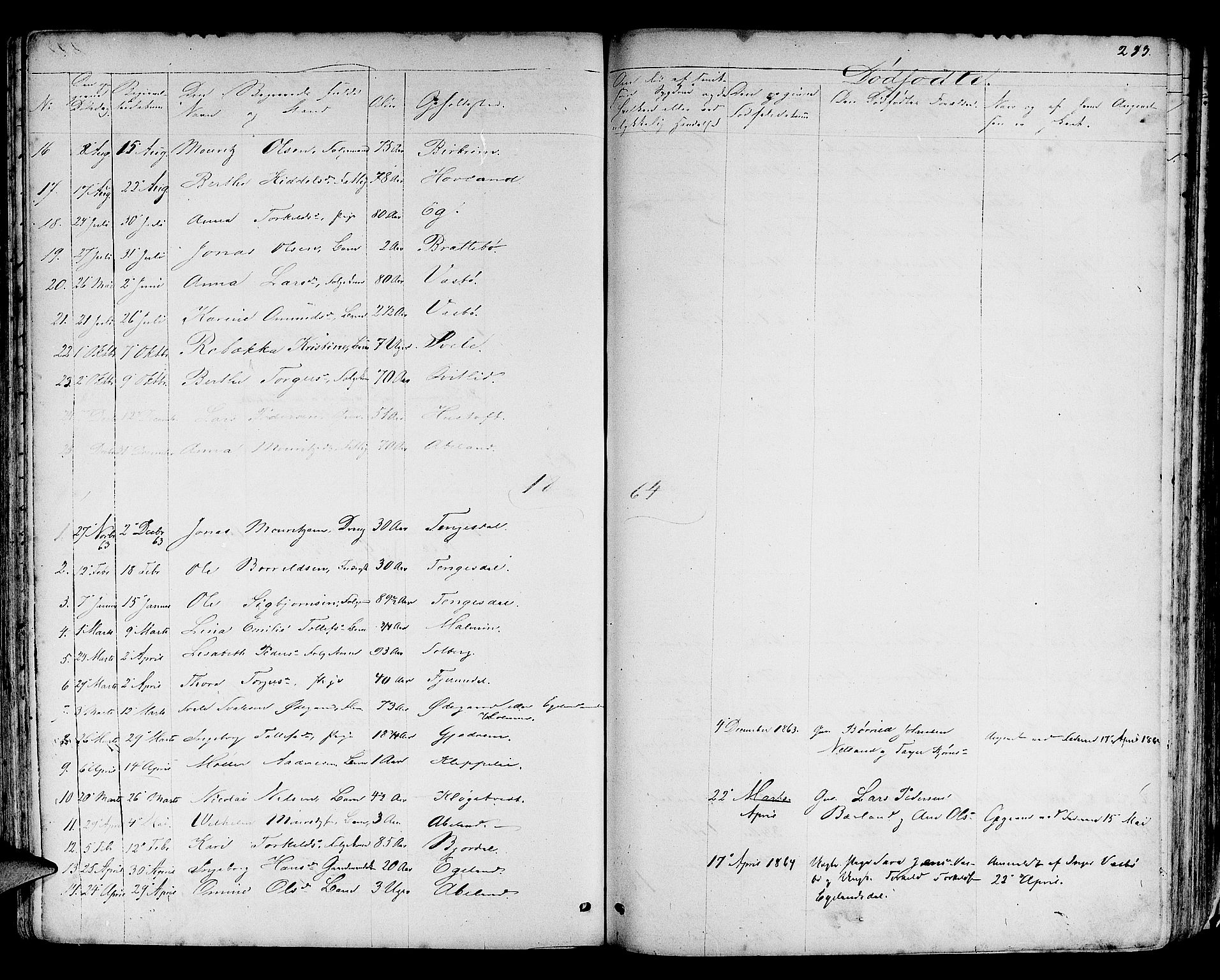 Helleland sokneprestkontor, SAST/A-101810: Parish register (copy) no. B 3, 1847-1886, p. 233