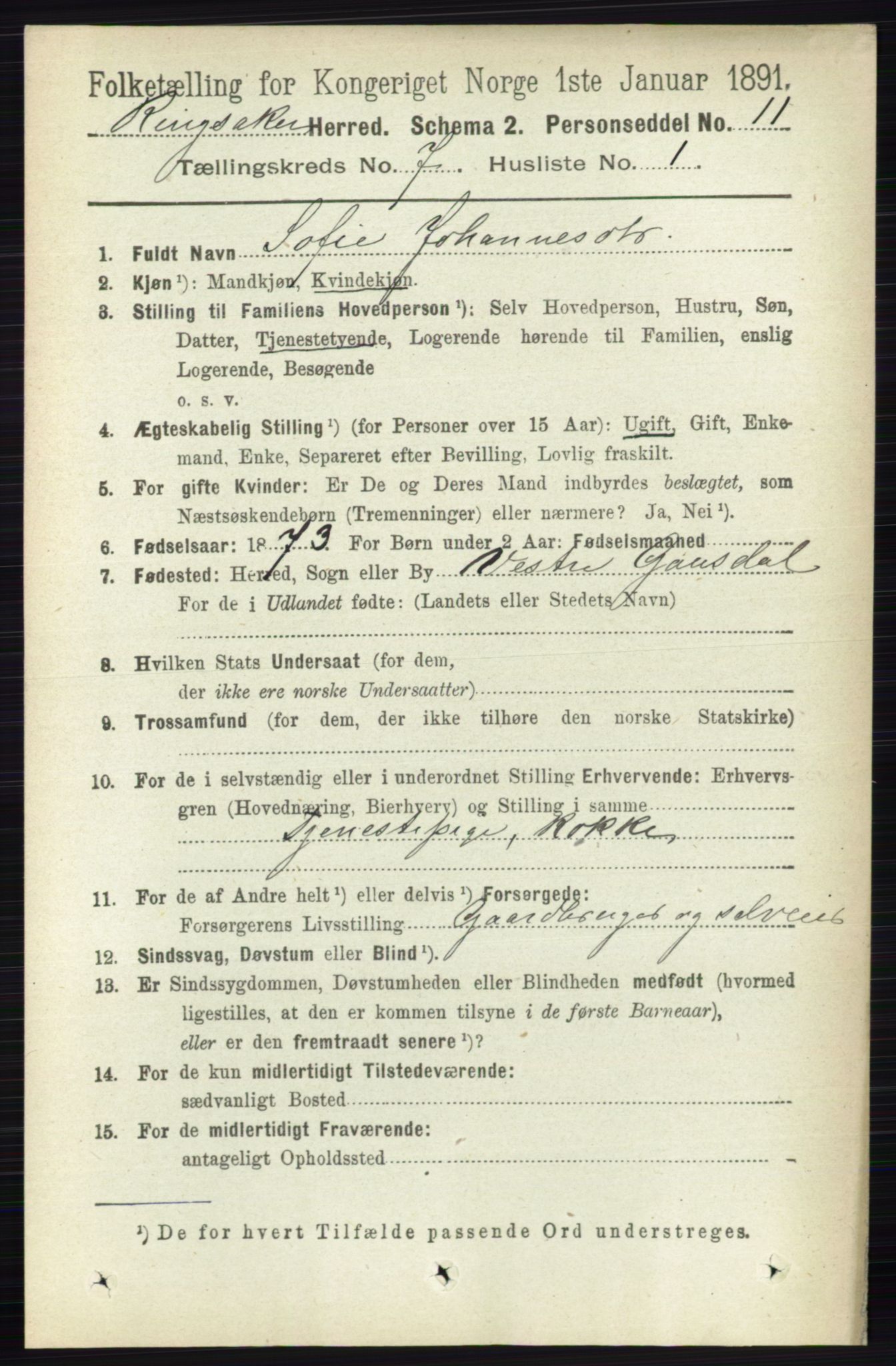 RA, 1891 census for 0412 Ringsaker, 1891, p. 3876