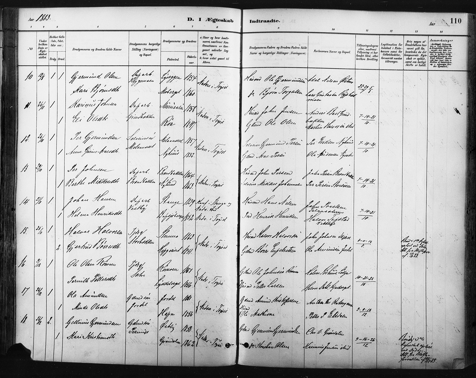 Trysil prestekontor, AV/SAH-PREST-046/H/Ha/Haa/L0009: Parish register (official) no. 9, 1881-1897, p. 110