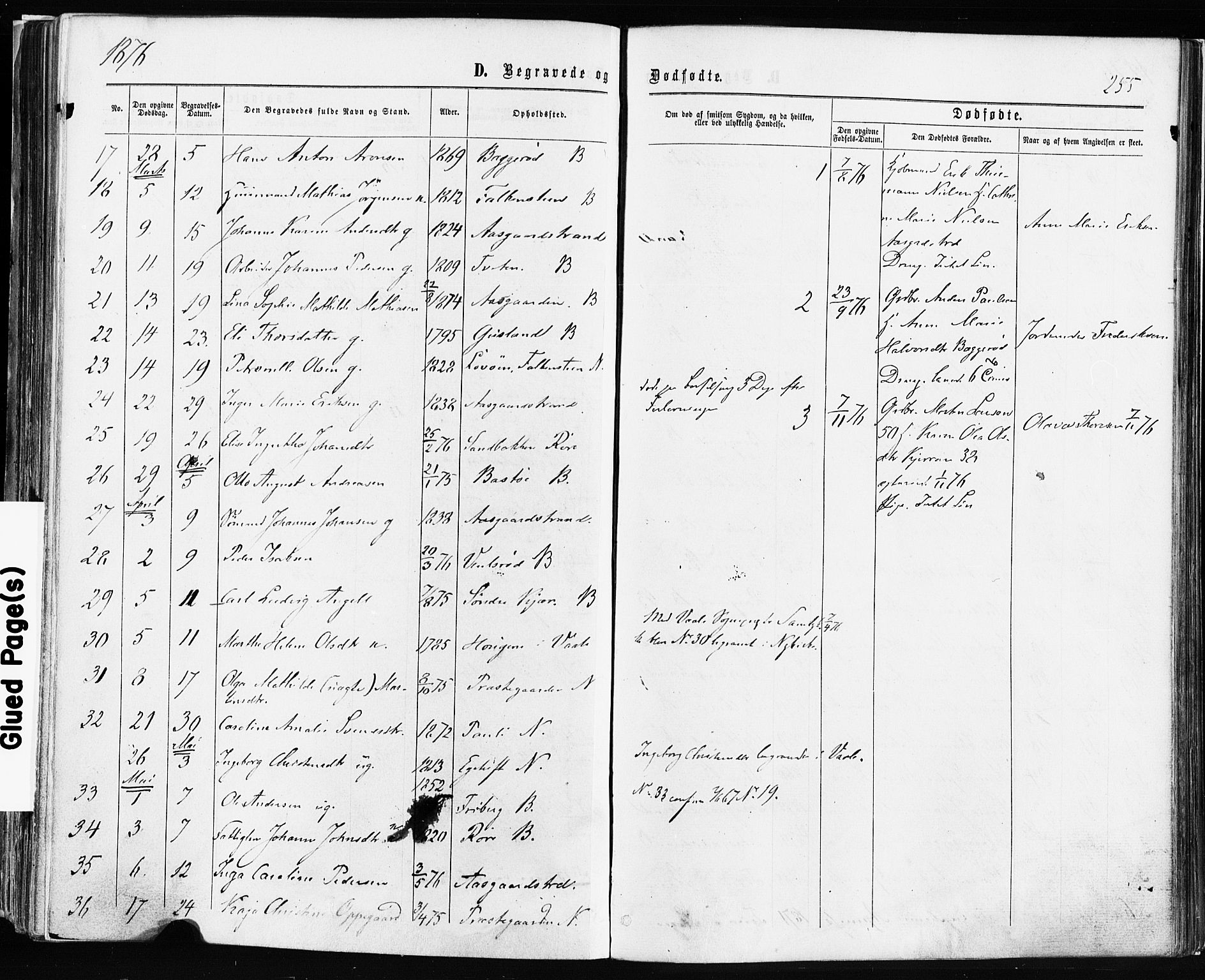 Borre kirkebøker, AV/SAKO-A-338/F/Fa/L0008: Parish register (official) no. I 8, 1868-1877, p. 255