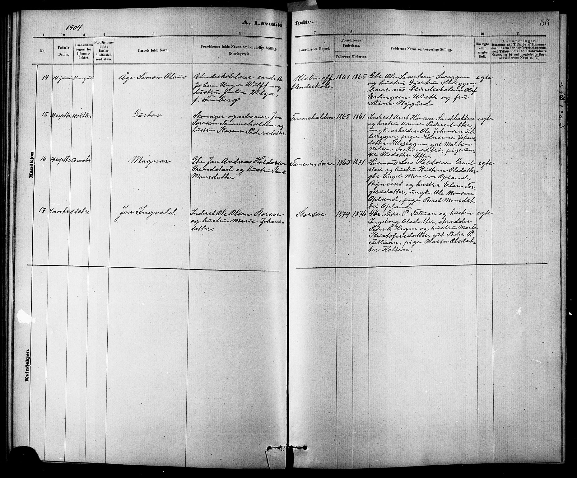 Ministerialprotokoller, klokkerbøker og fødselsregistre - Sør-Trøndelag, SAT/A-1456/618/L0452: Parish register (copy) no. 618C03, 1884-1906, p. 56