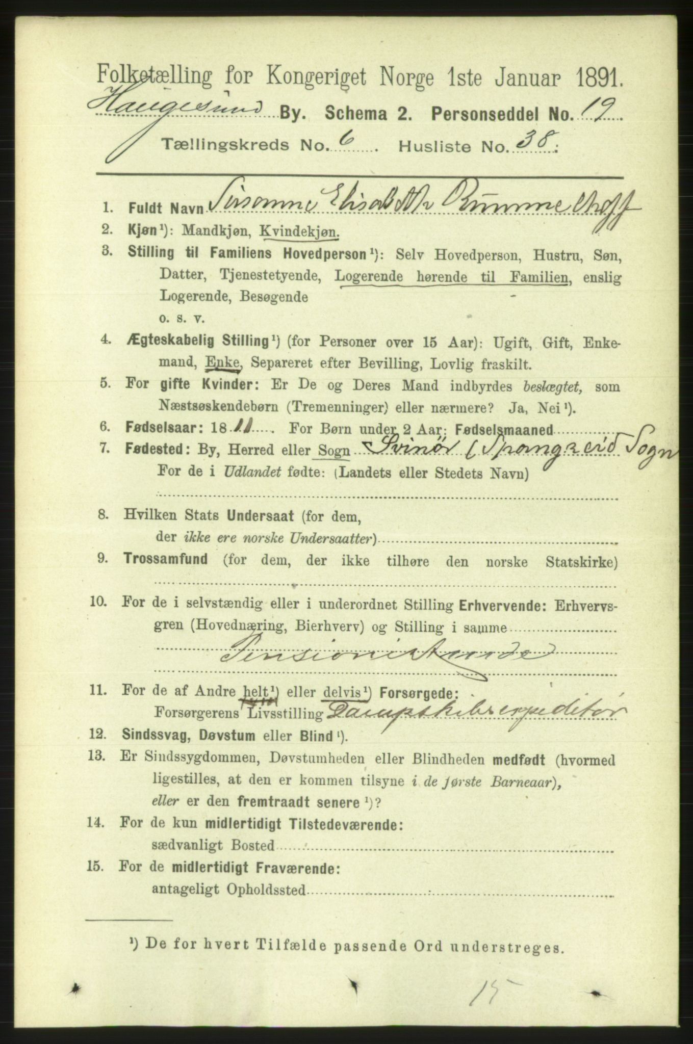 RA, 1891 census for 1106 Haugesund, 1891, p. 3015