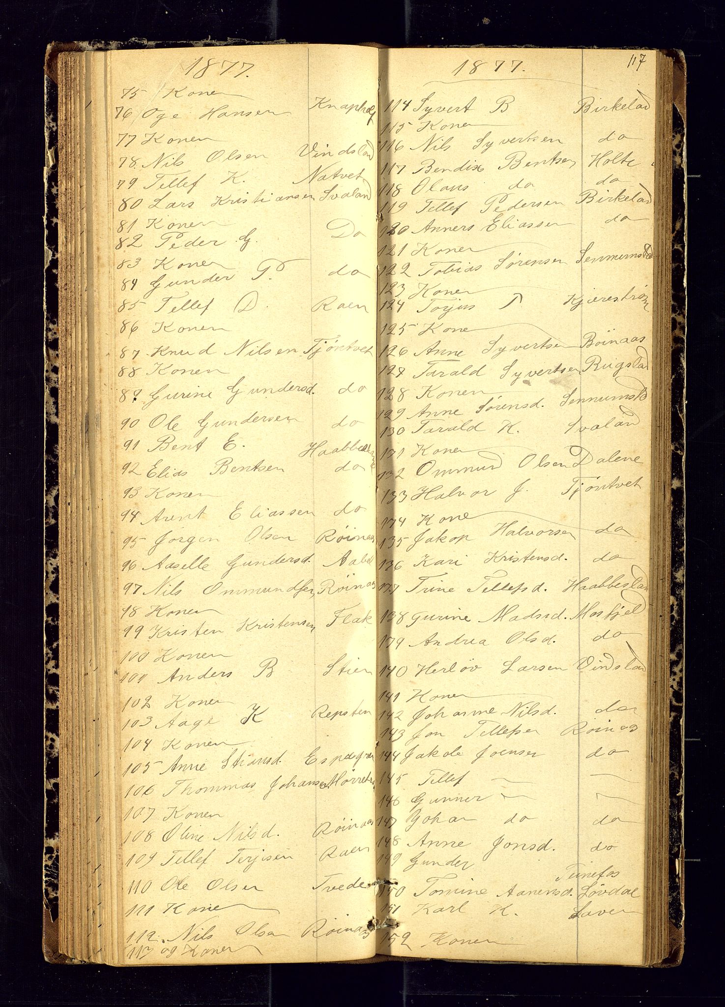 Birkenes sokneprestkontor, AV/SAK-1111-0004/F/Fc/L0006: Communicants register no. C-6, 1872-1880, p. 117