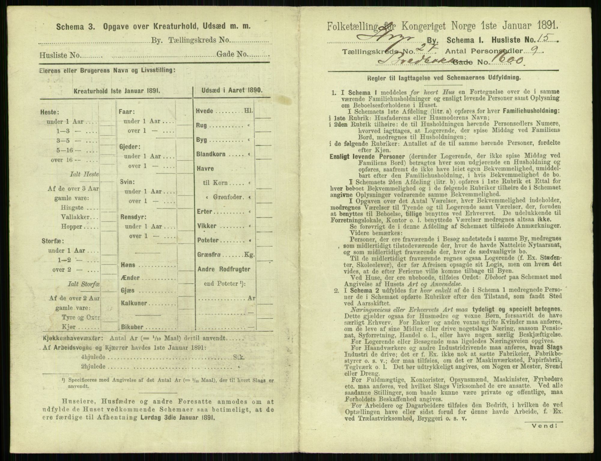 RA, 1891 census for 1103 Stavanger, 1891, p. 4975