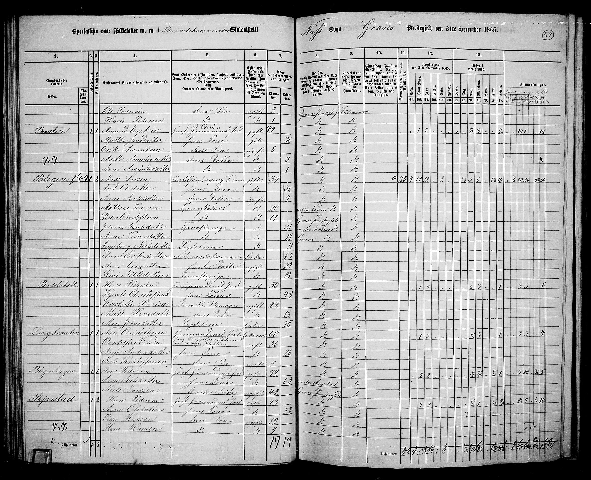 RA, 1865 census for Gran, 1865, p. 243