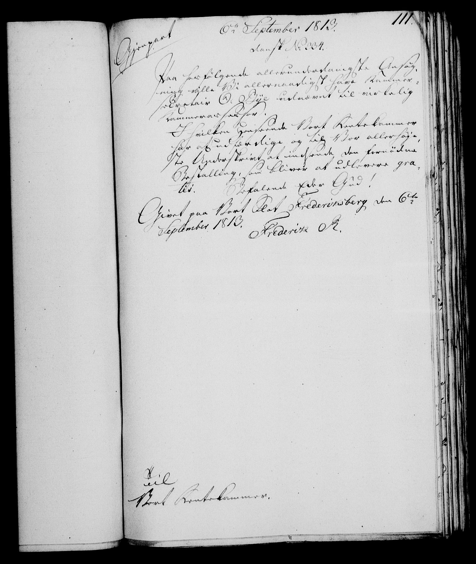 Rentekammeret, Kammerkanselliet, RA/EA-3111/G/Gf/Gfa/L0095: Norsk relasjons- og resolusjonsprotokoll (merket RK 52.95), 1813-1814, p. 469