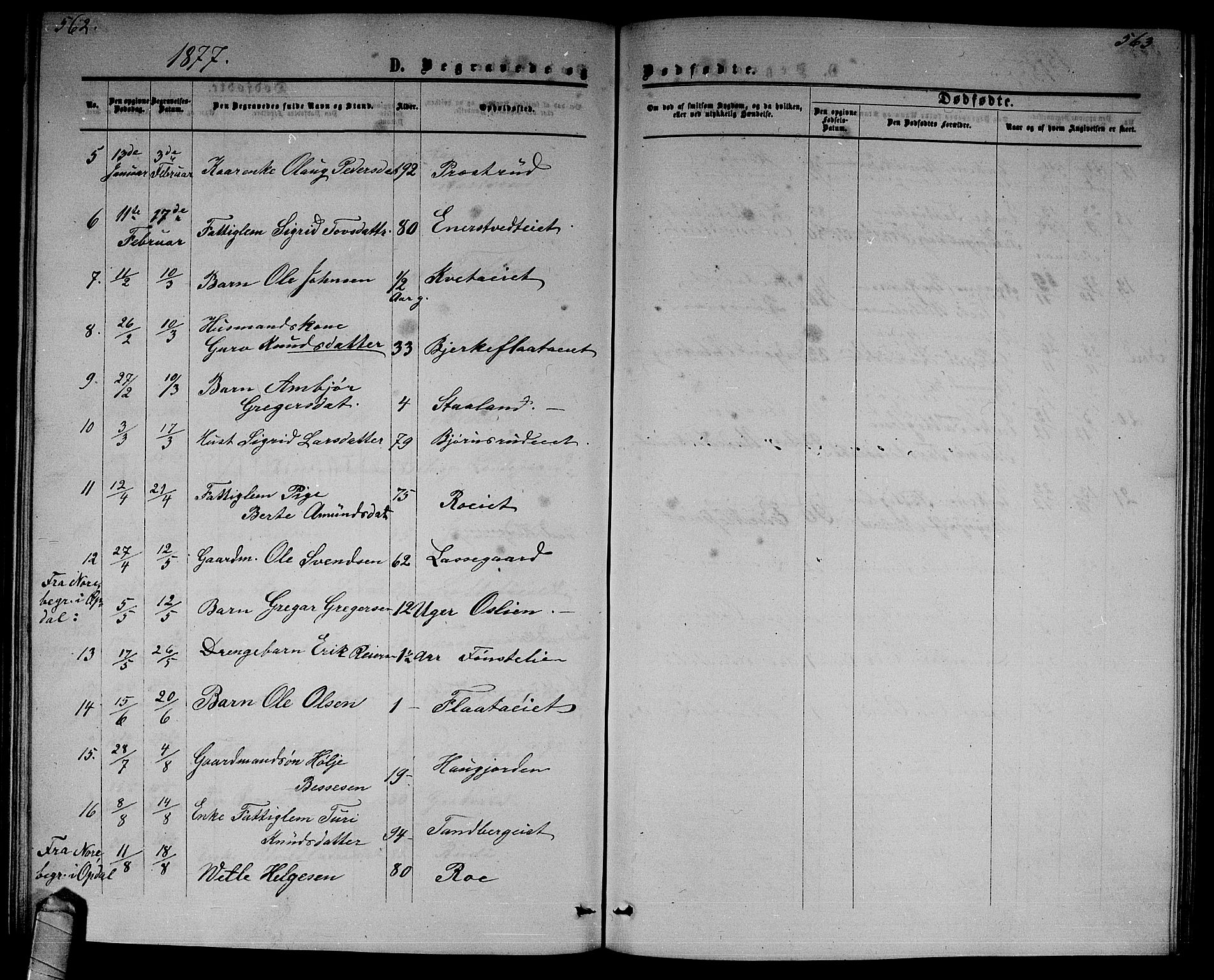 Nore kirkebøker, AV/SAKO-A-238/G/Gb/L0001: Parish register (copy) no. II 1, 1862-1877, p. 562-563