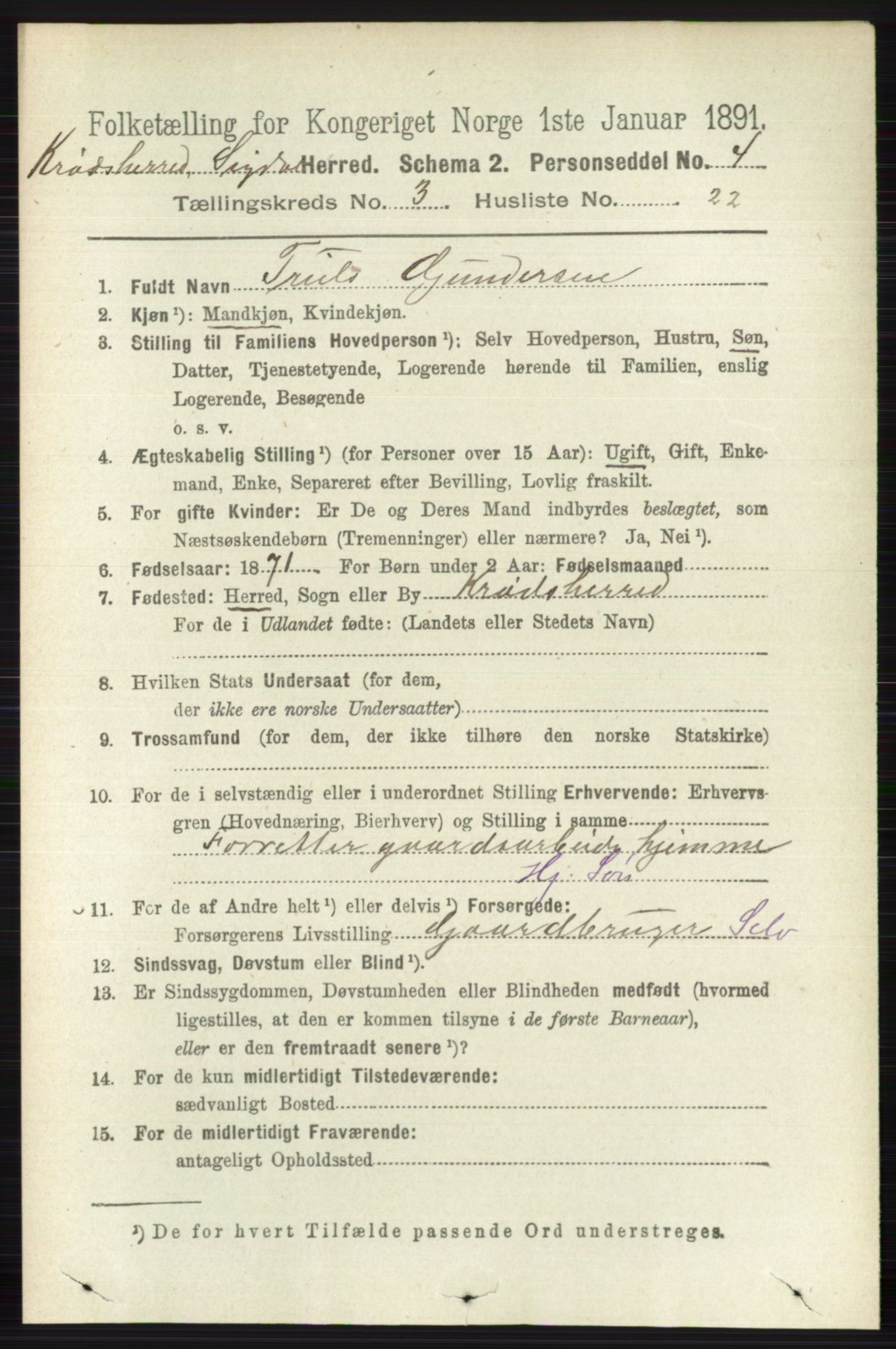 RA, 1891 census for 0621 Sigdal, 1891, p. 5728