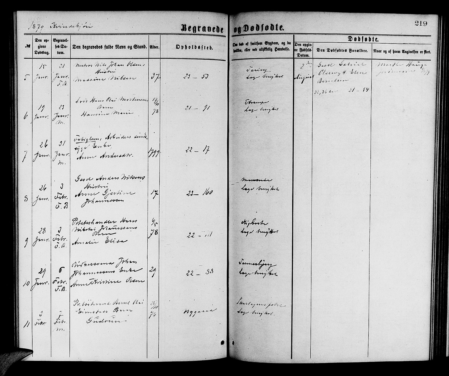 Korskirken sokneprestembete, AV/SAB-A-76101/H/Hab: Parish register (copy) no. E 3, 1871-1883, p. 219