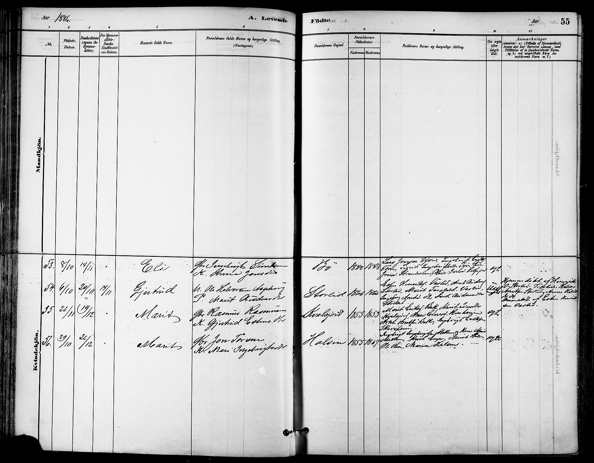 Ministerialprotokoller, klokkerbøker og fødselsregistre - Sør-Trøndelag, AV/SAT-A-1456/678/L0901: Parish register (official) no. 678A10, 1881-1894, p. 55