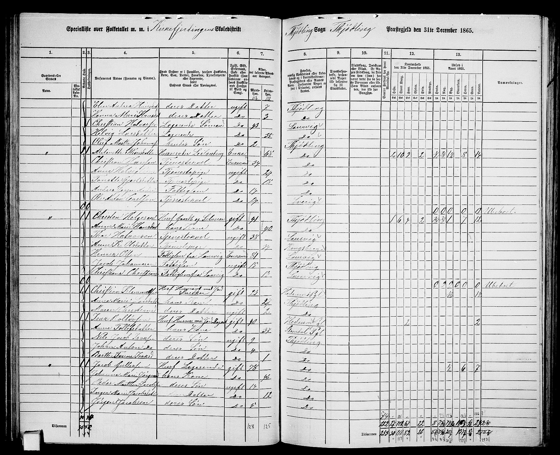 RA, 1865 census for Tjølling, 1865, p. 62