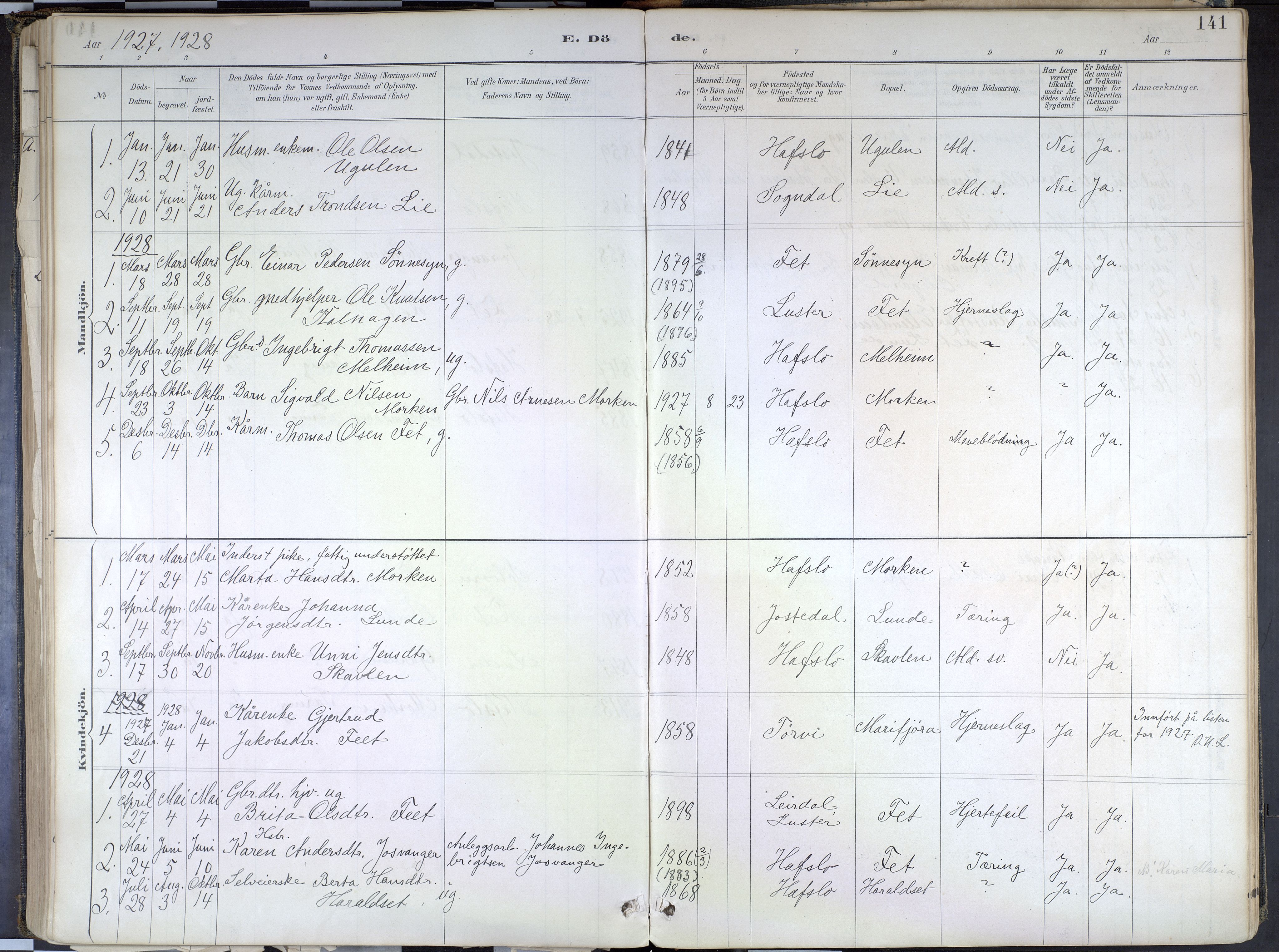 Hafslo sokneprestembete, SAB/A-80301/H/Haa/Haad/L0001: Parish register (official) no. D 1, 1886-1934, p. 141