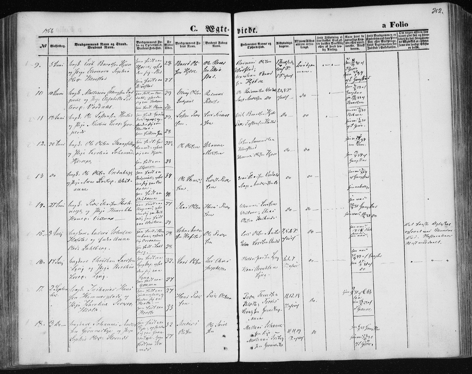 Ministerialprotokoller, klokkerbøker og fødselsregistre - Nord-Trøndelag, AV/SAT-A-1458/730/L0283: Parish register (official) no. 730A08, 1855-1865, p. 252