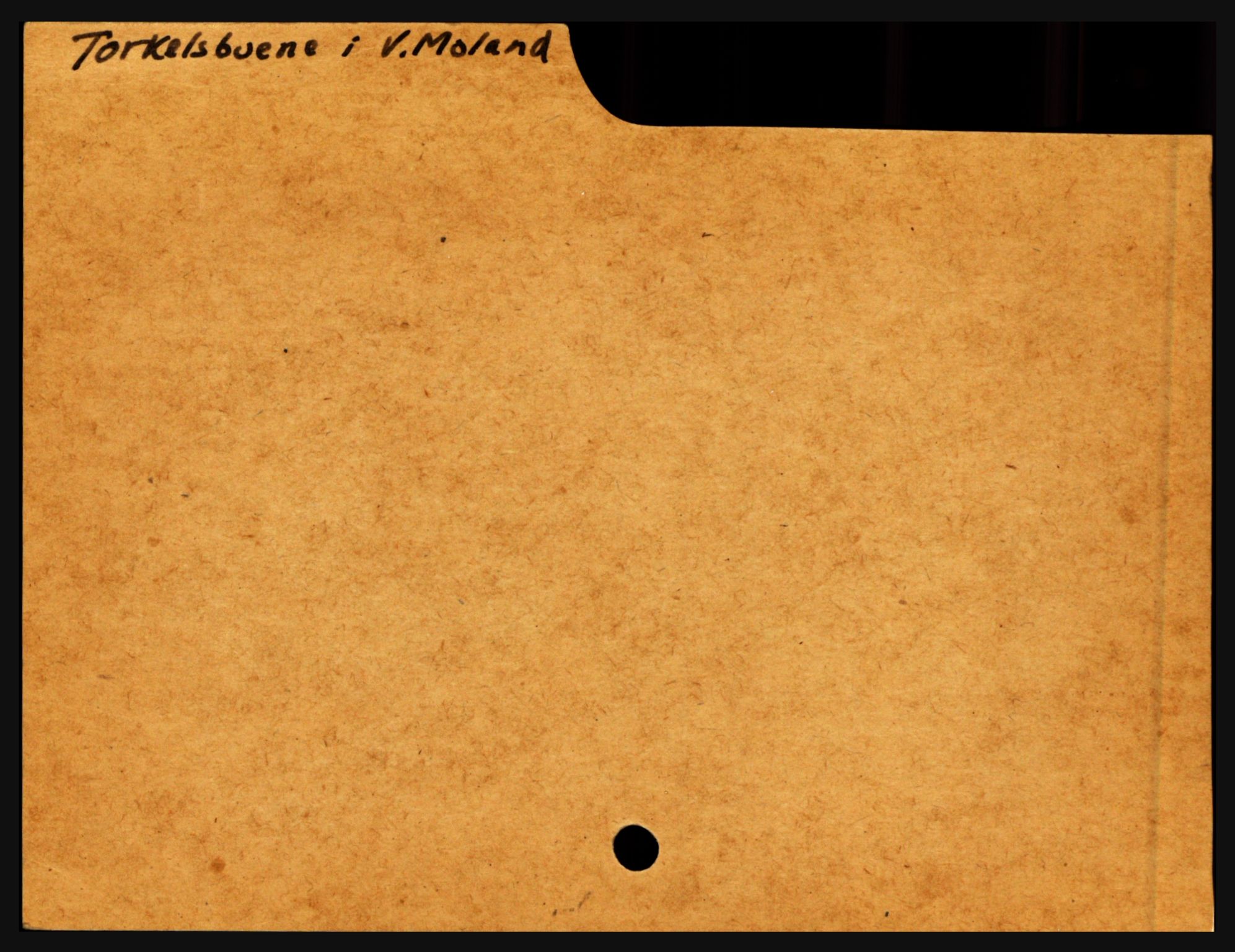 Nedenes sorenskriveri før 1824, SAK/1221-0007/H, p. 30307
