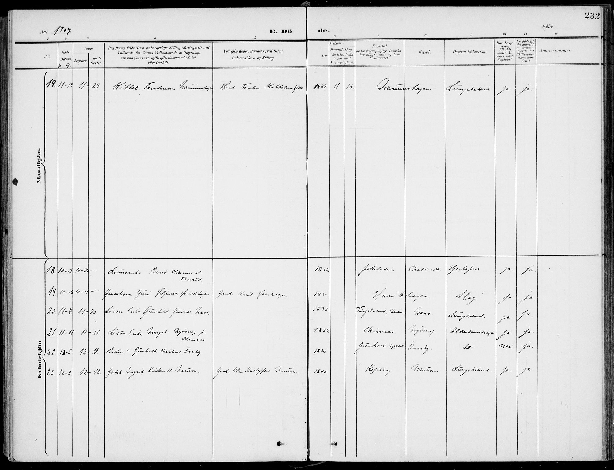 Sigdal kirkebøker, AV/SAKO-A-245/F/Fb/L0002: Parish register (official) no. II 2, 1901-1914, p. 232