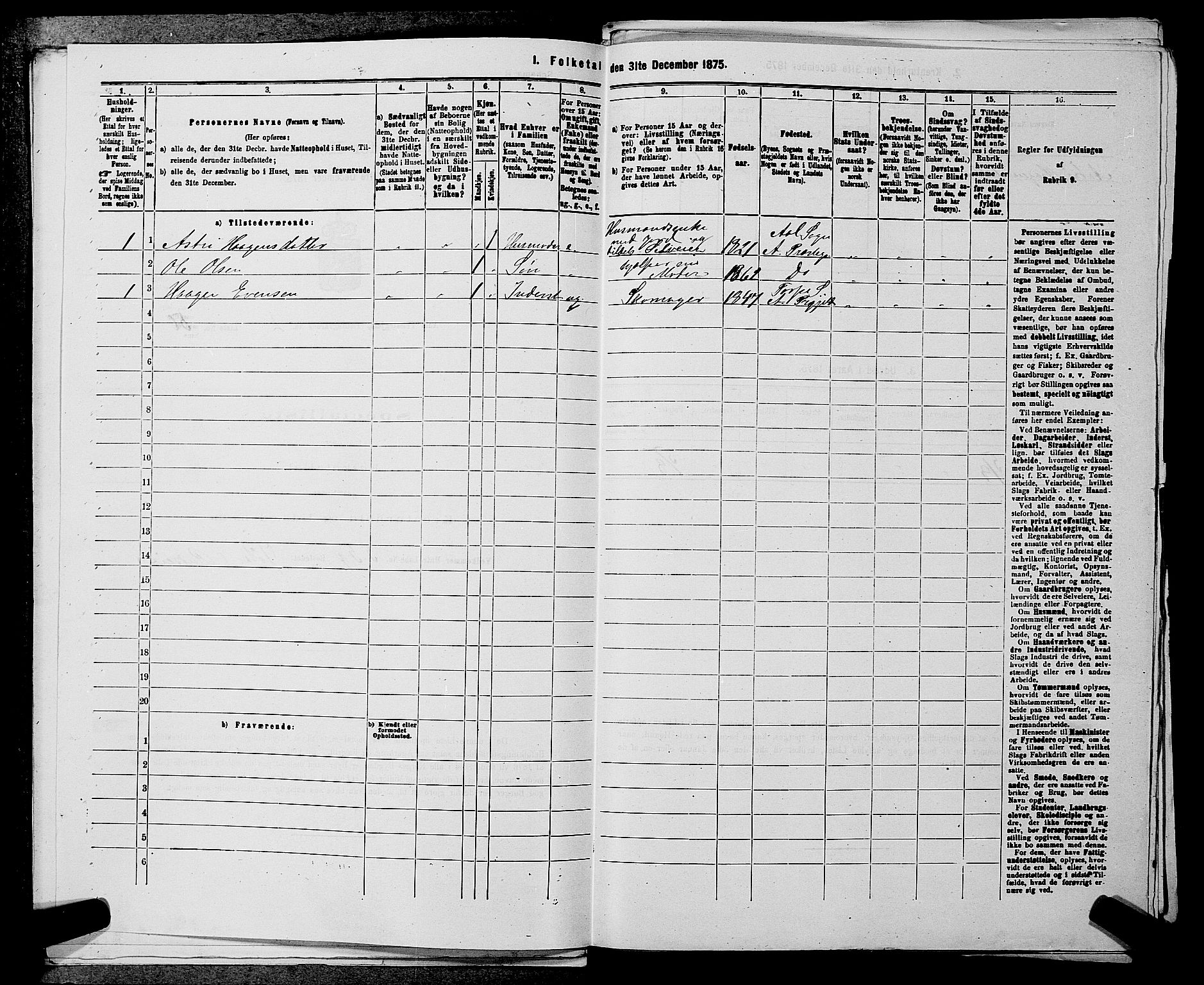 SAKO, 1875 census for 0619P Ål, 1875, p. 217