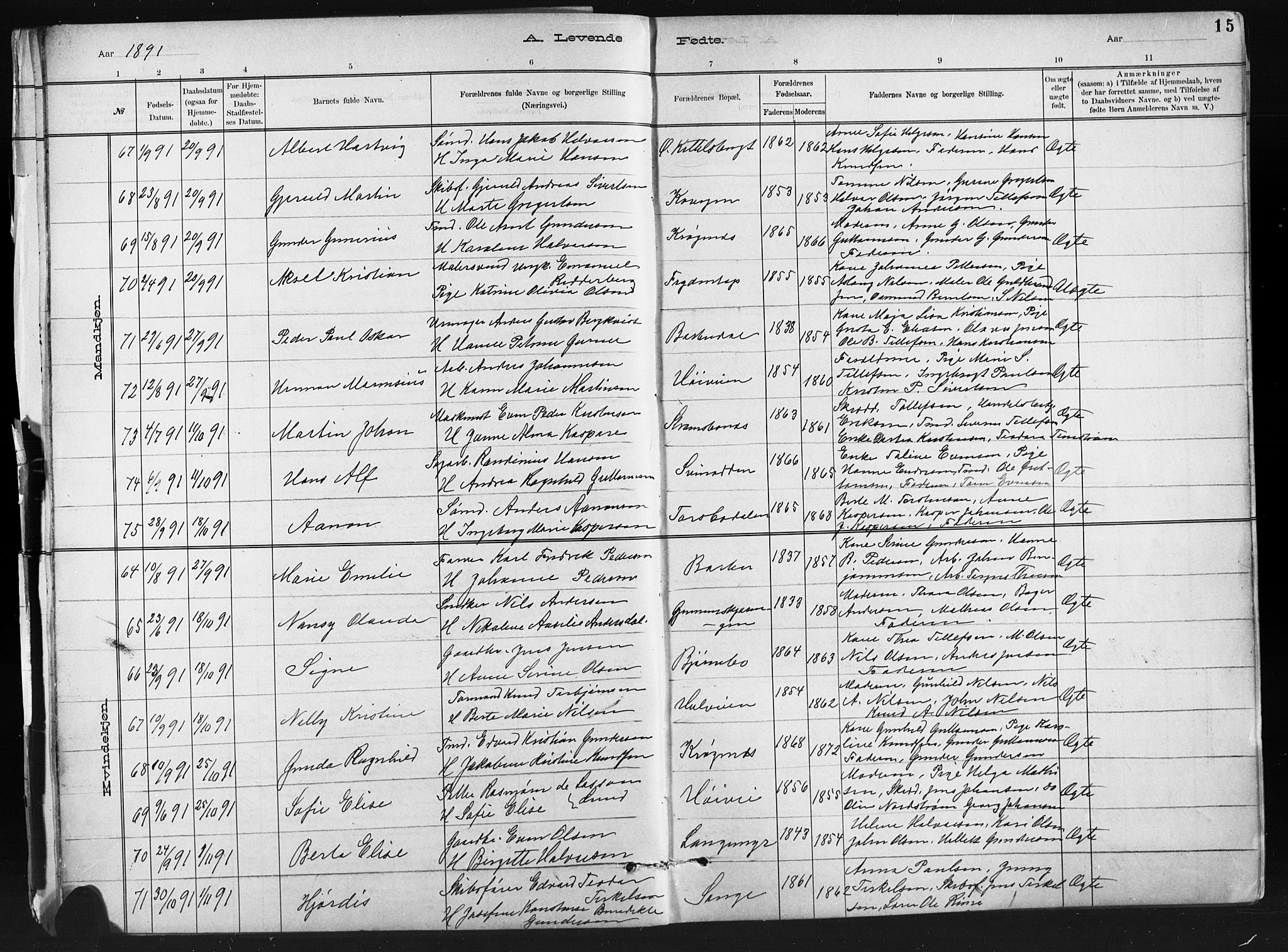 Barbu sokneprestkontor, AV/SAK-1111-0003/F/Fb/L0002: Parish register (copy) no. B 2, 1890-1922, p. 15