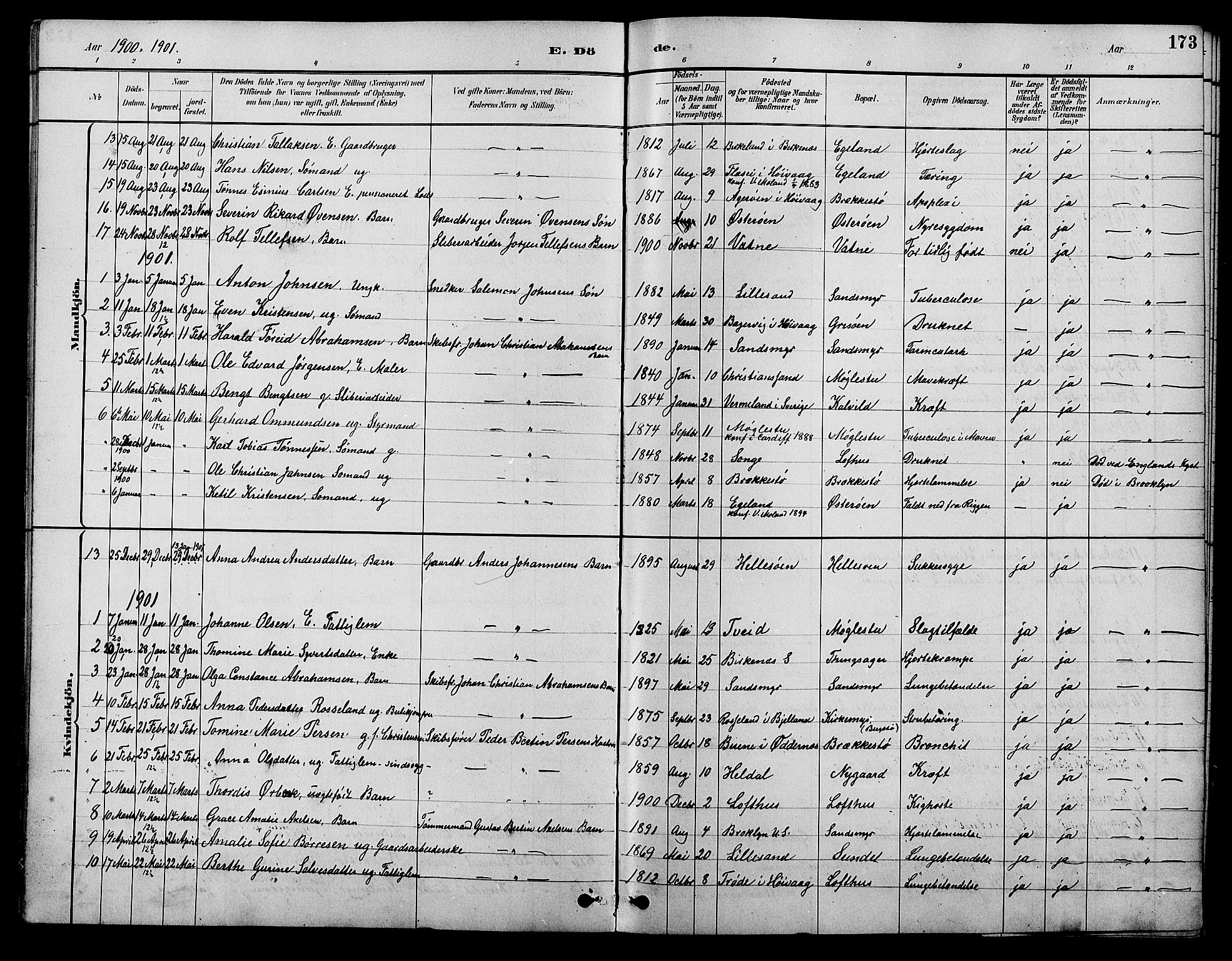 Vestre Moland sokneprestkontor, SAK/1111-0046/F/Fb/Fbb/L0006: Parish register (copy) no. B 6, 1884-1905, p. 173