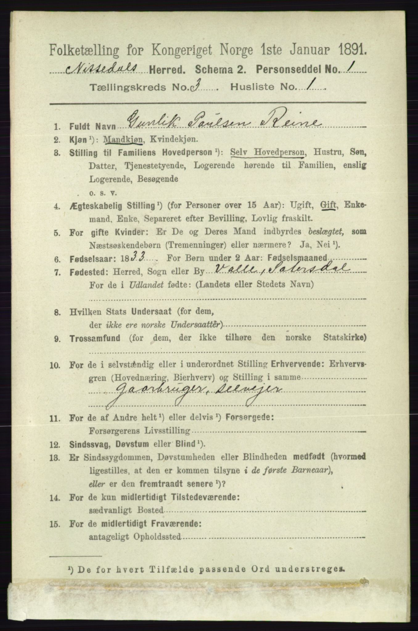 RA, 1891 census for 0830 Nissedal, 1891, p. 633