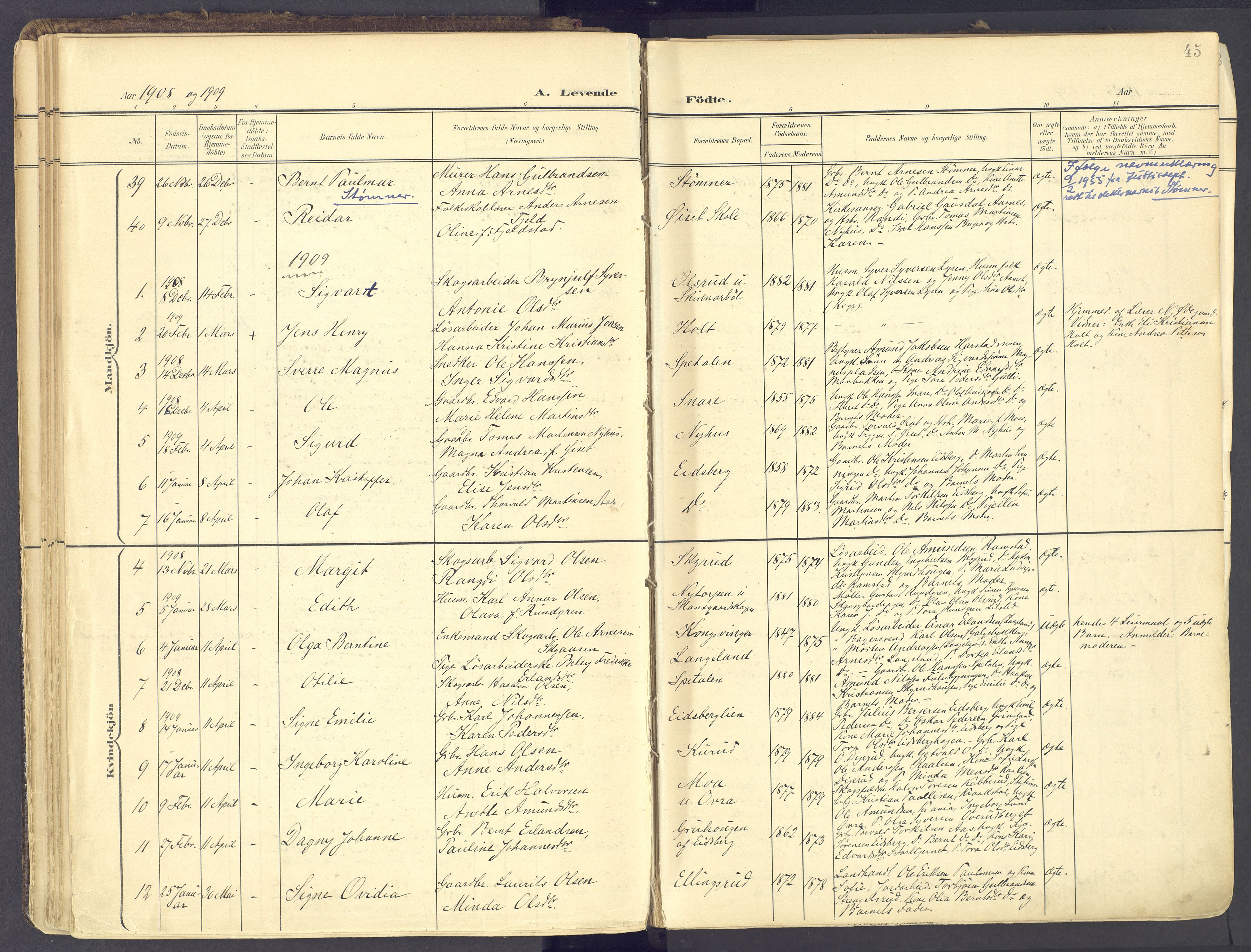 Vinger prestekontor, AV/SAH-PREST-024/H/Ha/Haa/L0017: Parish register (official) no. 17, 1901-1927, p. 45