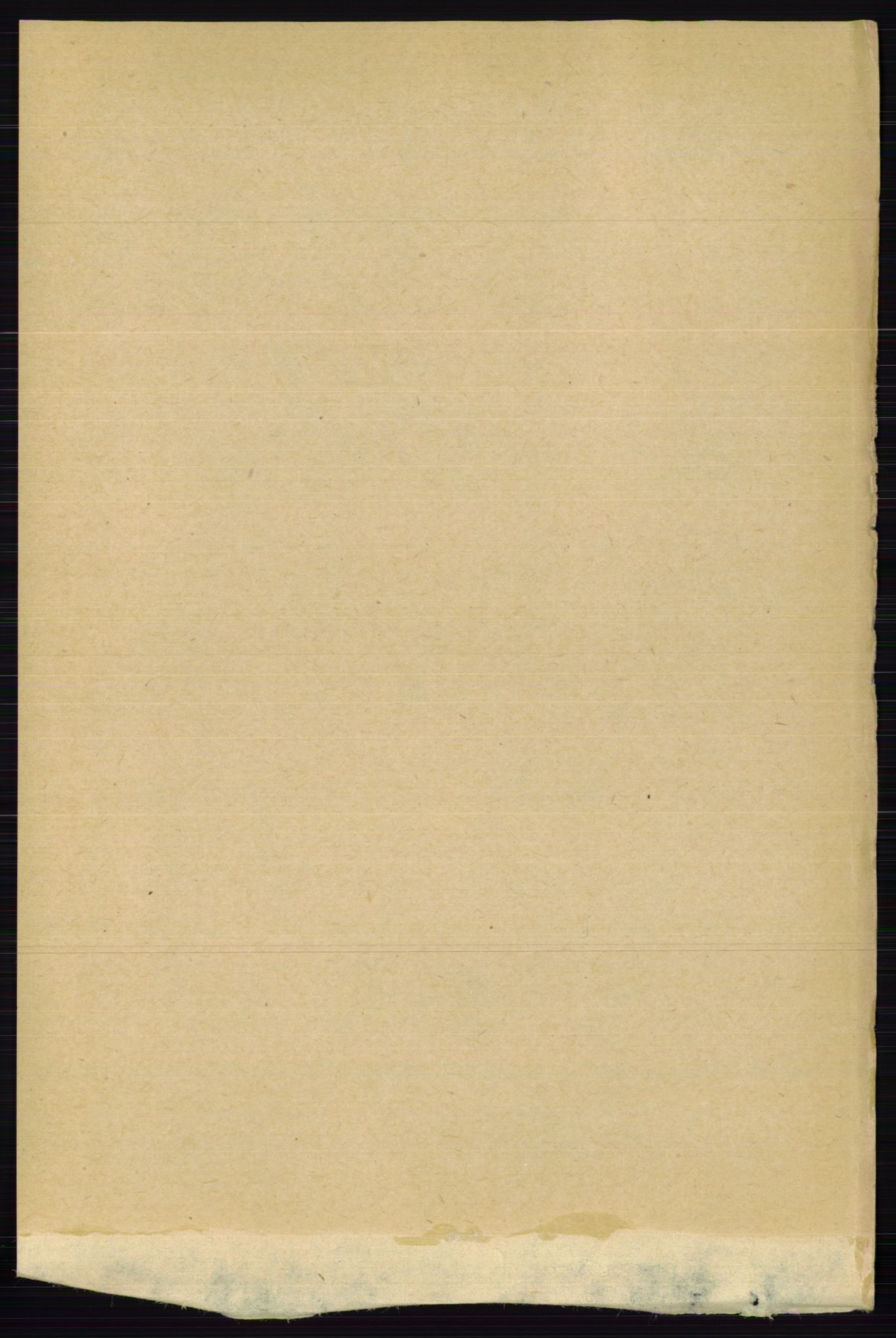 RA, 1891 census for 0236 Nes, 1891, p. 5256