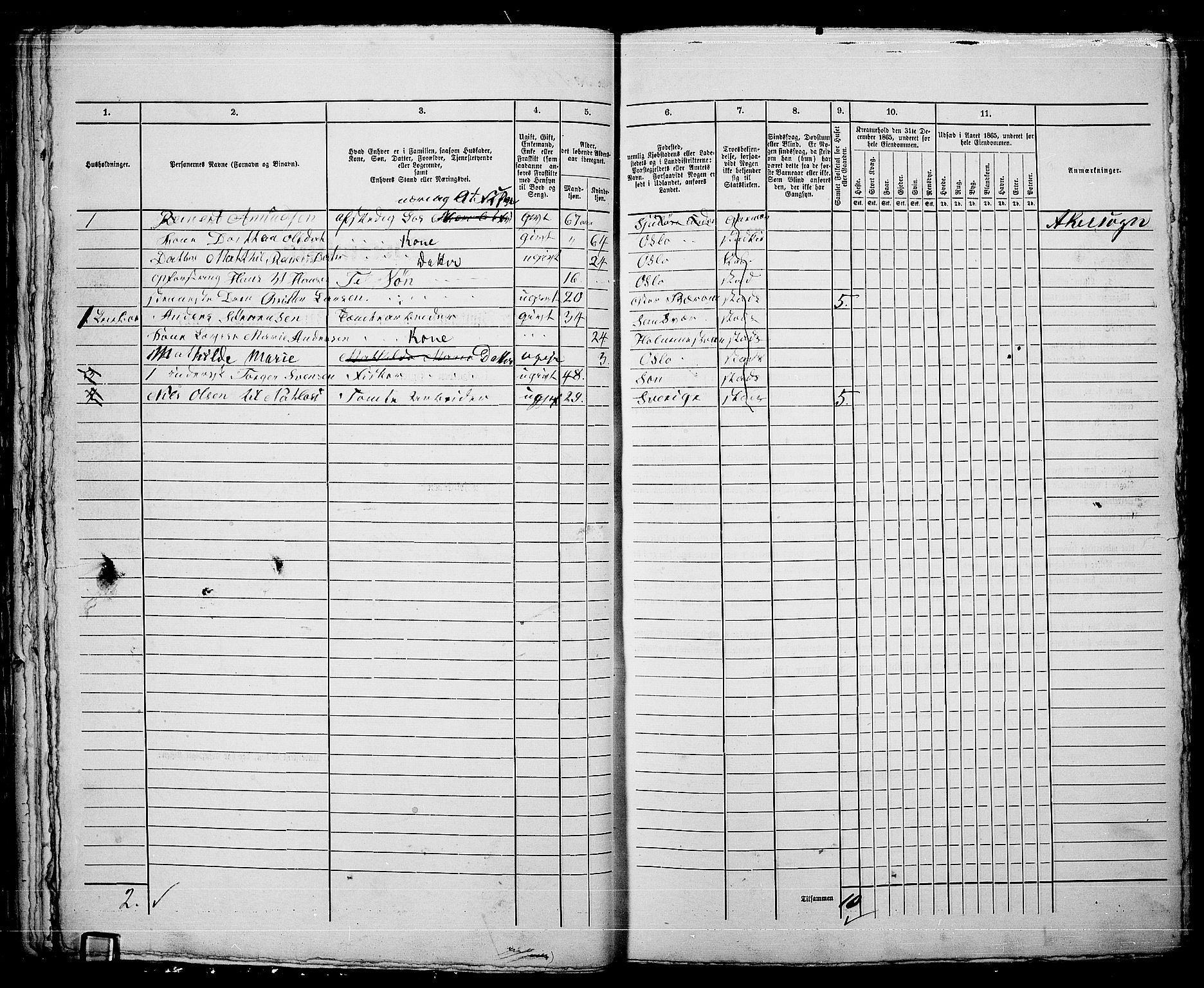 RA, 1865 census for Kristiania, 1865, p. 4142