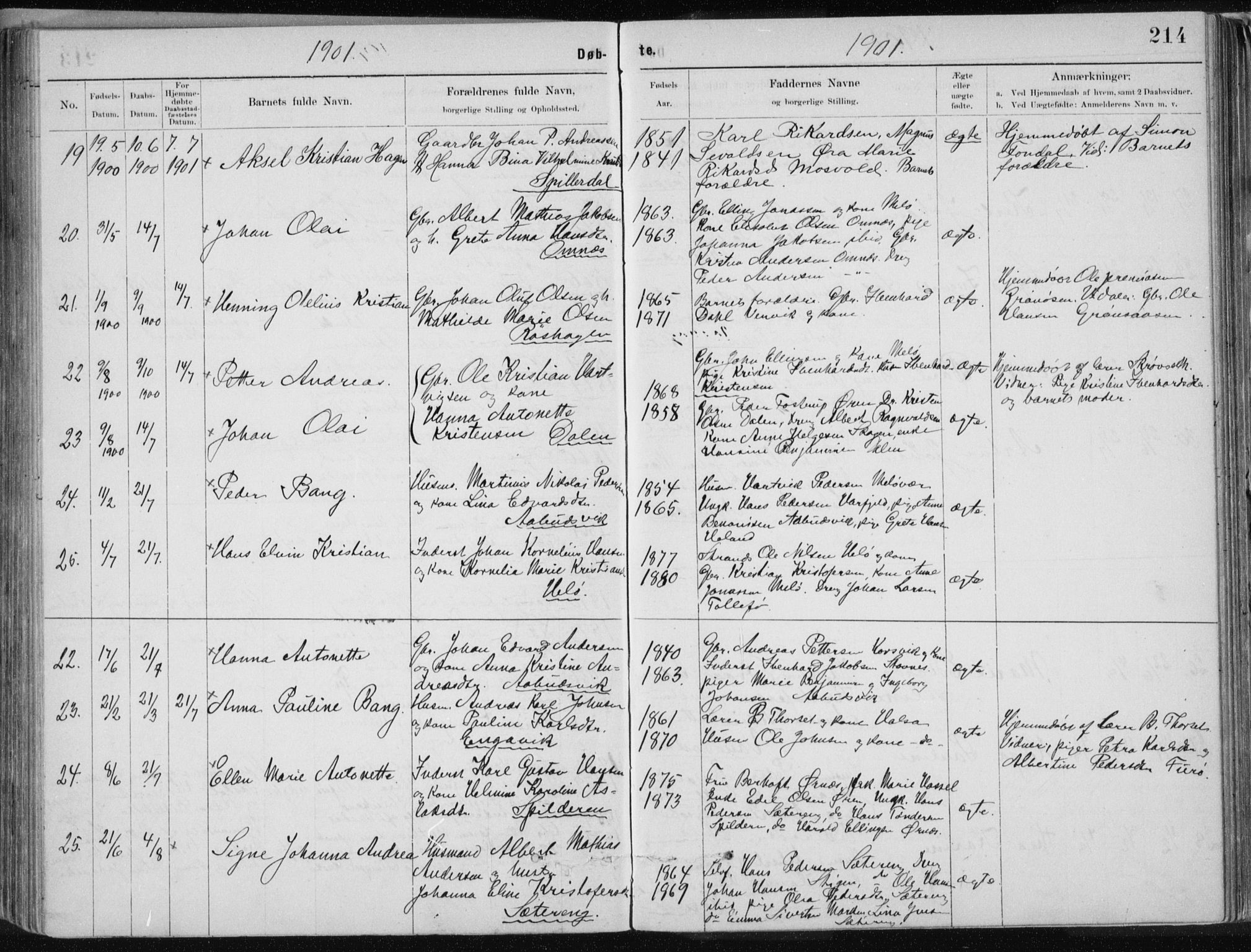 Ministerialprotokoller, klokkerbøker og fødselsregistre - Nordland, SAT/A-1459/843/L0636: Parish register (copy) no. 843C05, 1884-1909, p. 214