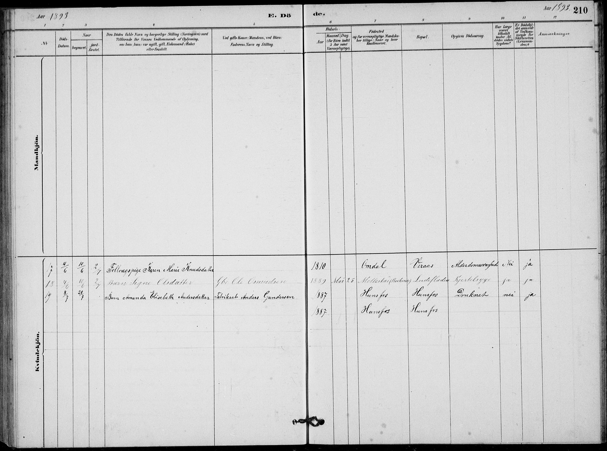 Vennesla sokneprestkontor, AV/SAK-1111-0045/Fb/Fbb/L0003: Parish register (copy) no. B 3, 1879-1893, p. 210