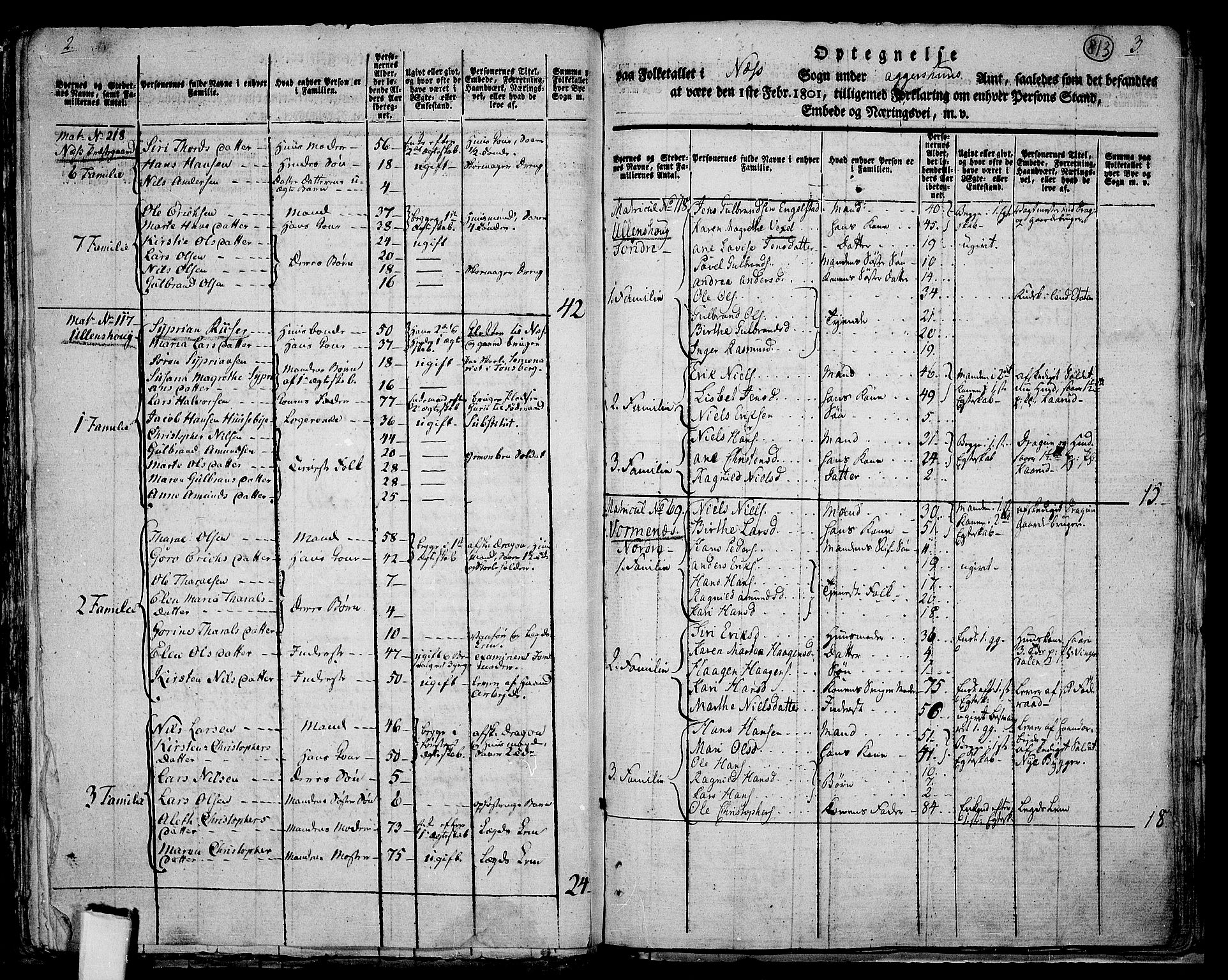 RA, 1801 census for 0236P Nes, 1801, p. 812b-813a